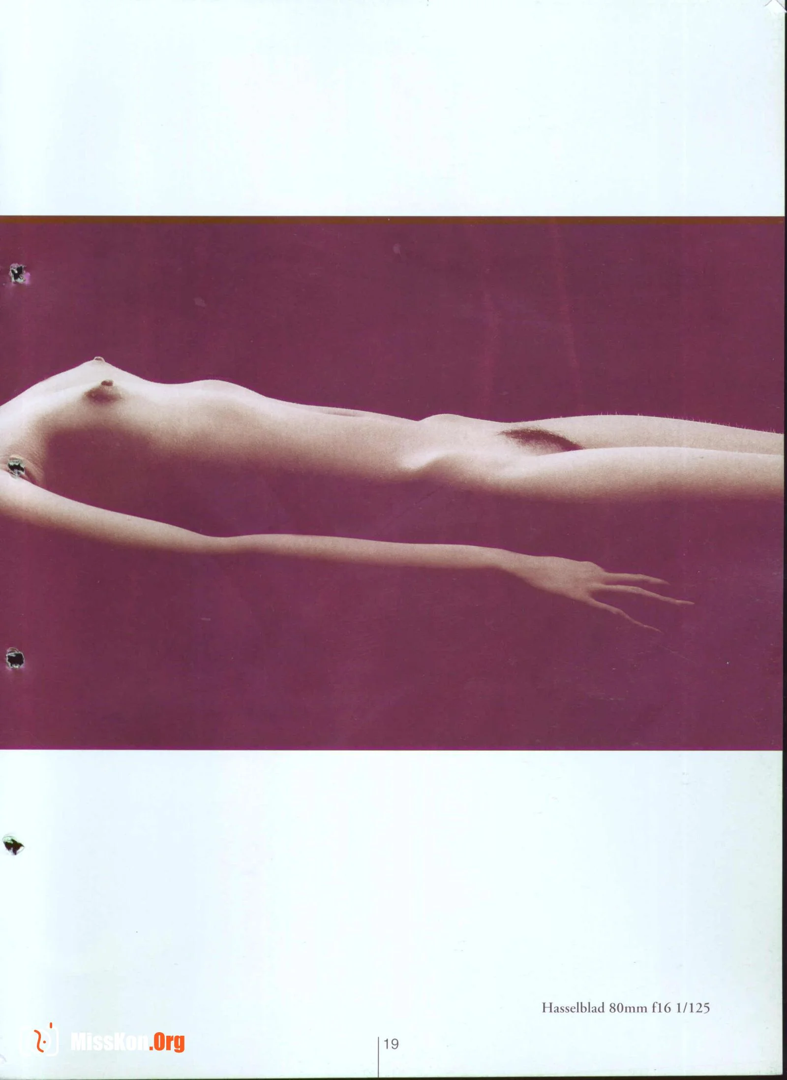 Plastic Arts - Photo 24