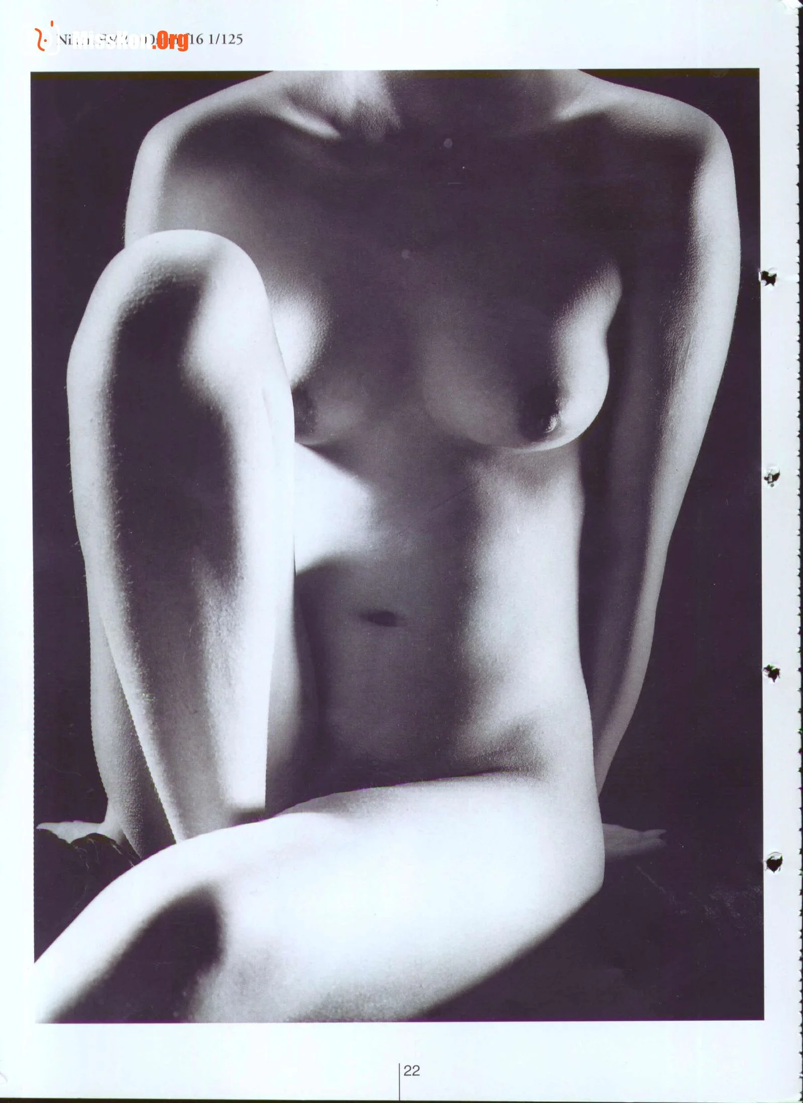 Plastic Arts - Photo 27