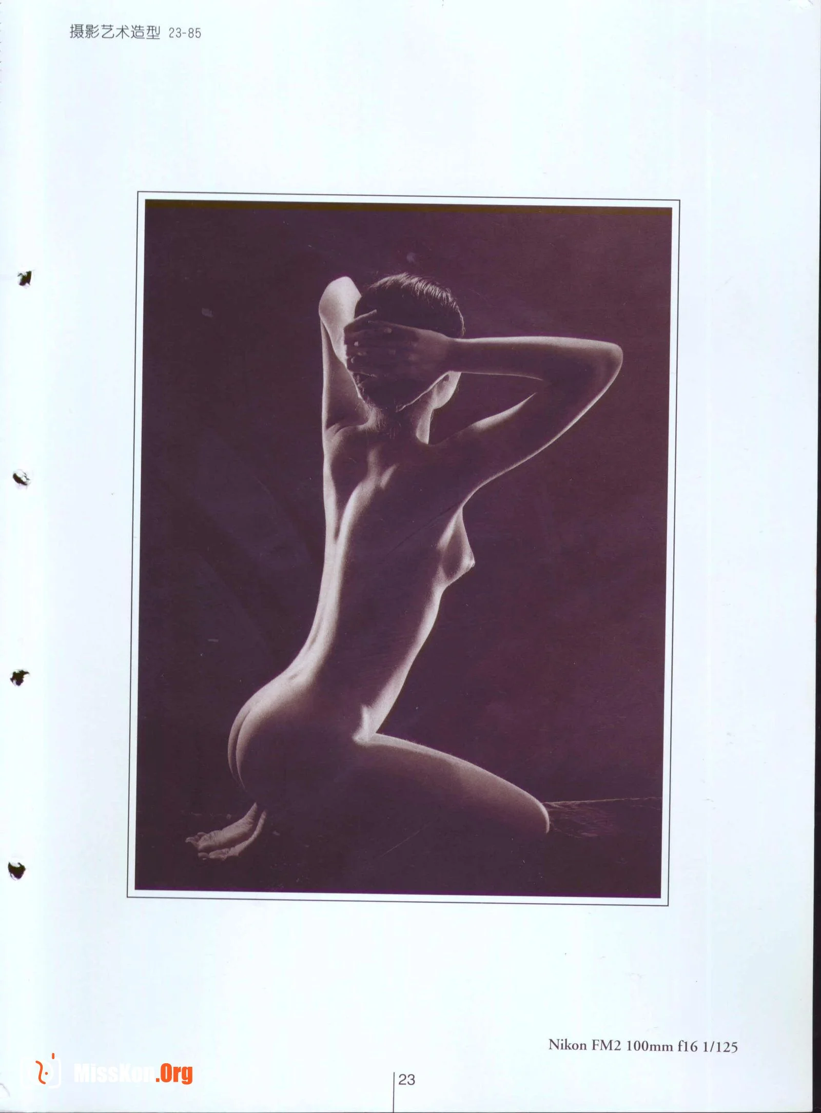Plastic Arts - Photo 28