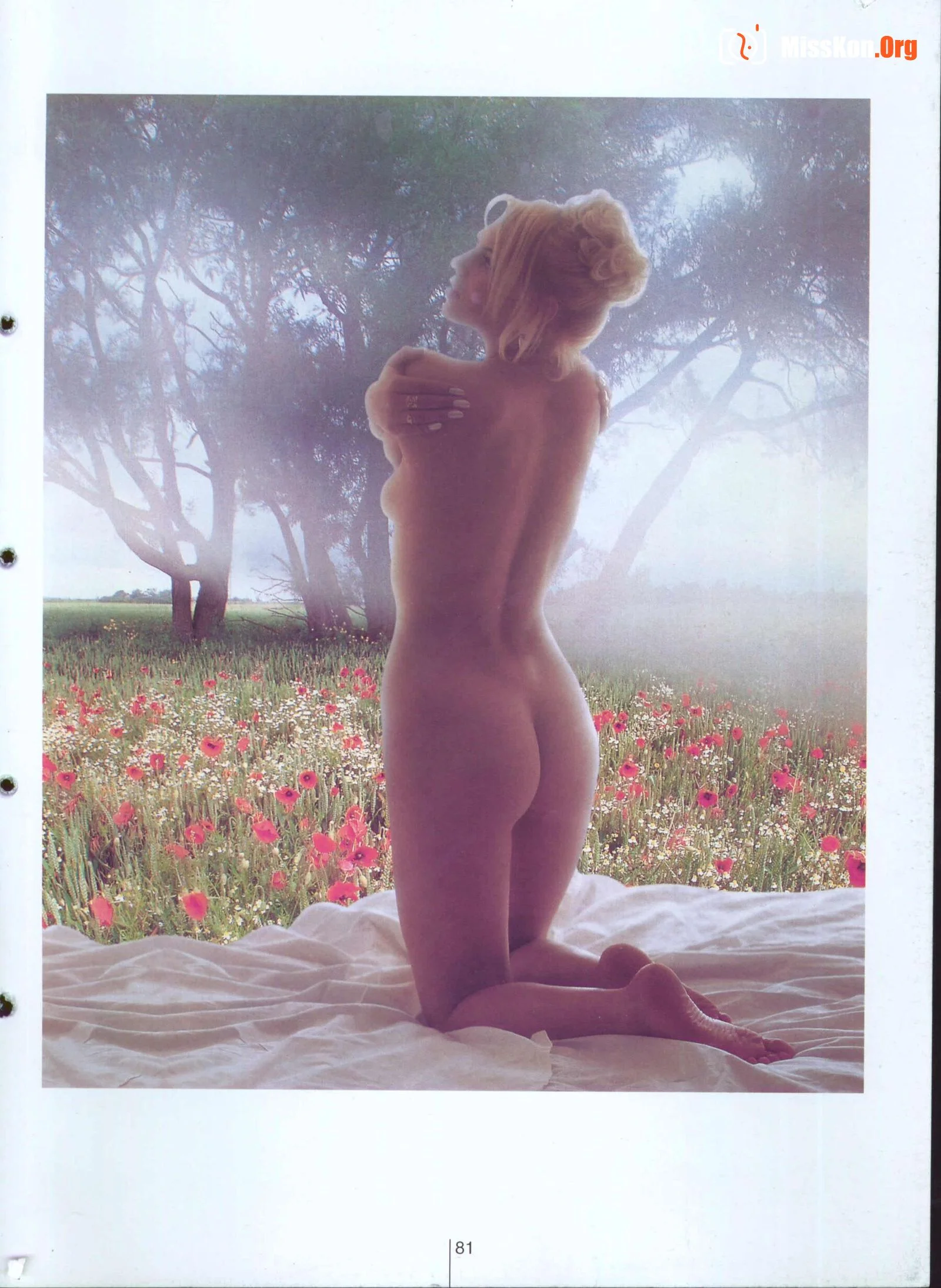 Plastic Arts - Photo 86
