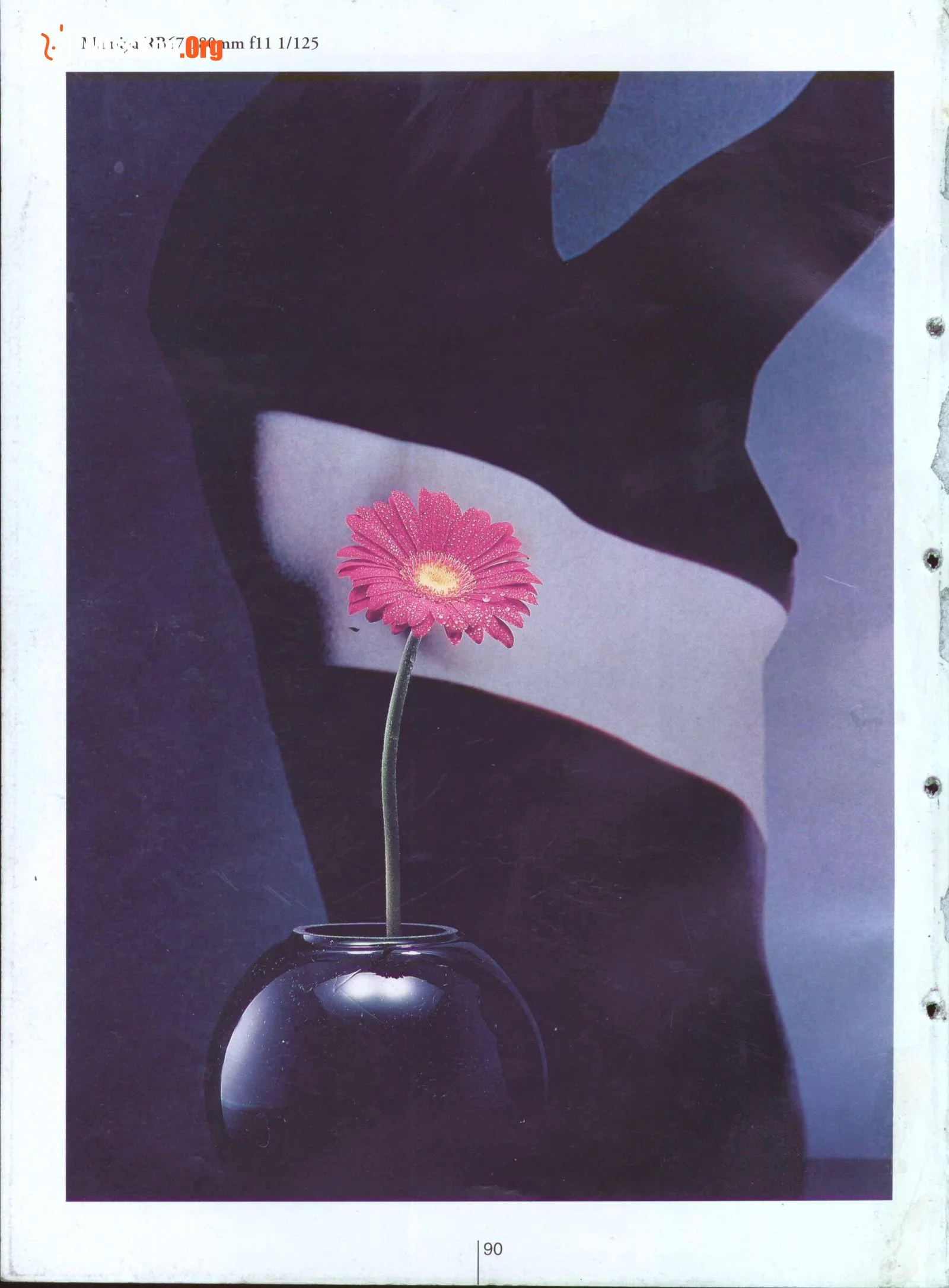 Plastic Arts - Photo 95