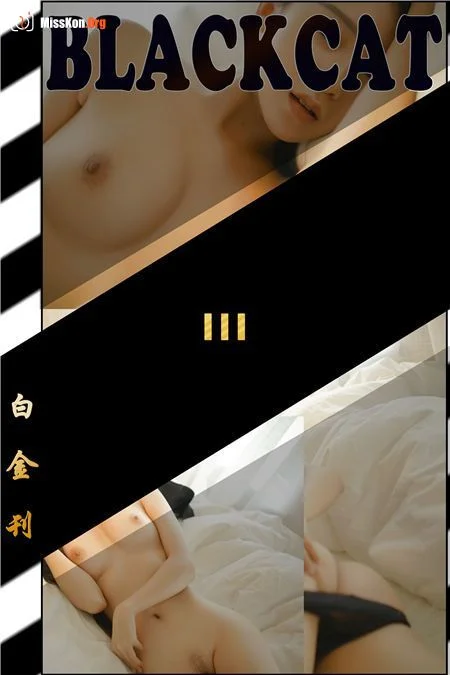 Platinum 003 (Platinum 003) - Photo 3