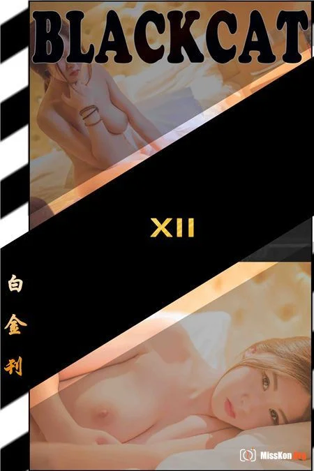 Platinum 012 issue (Platinum 012) - Photo 12
