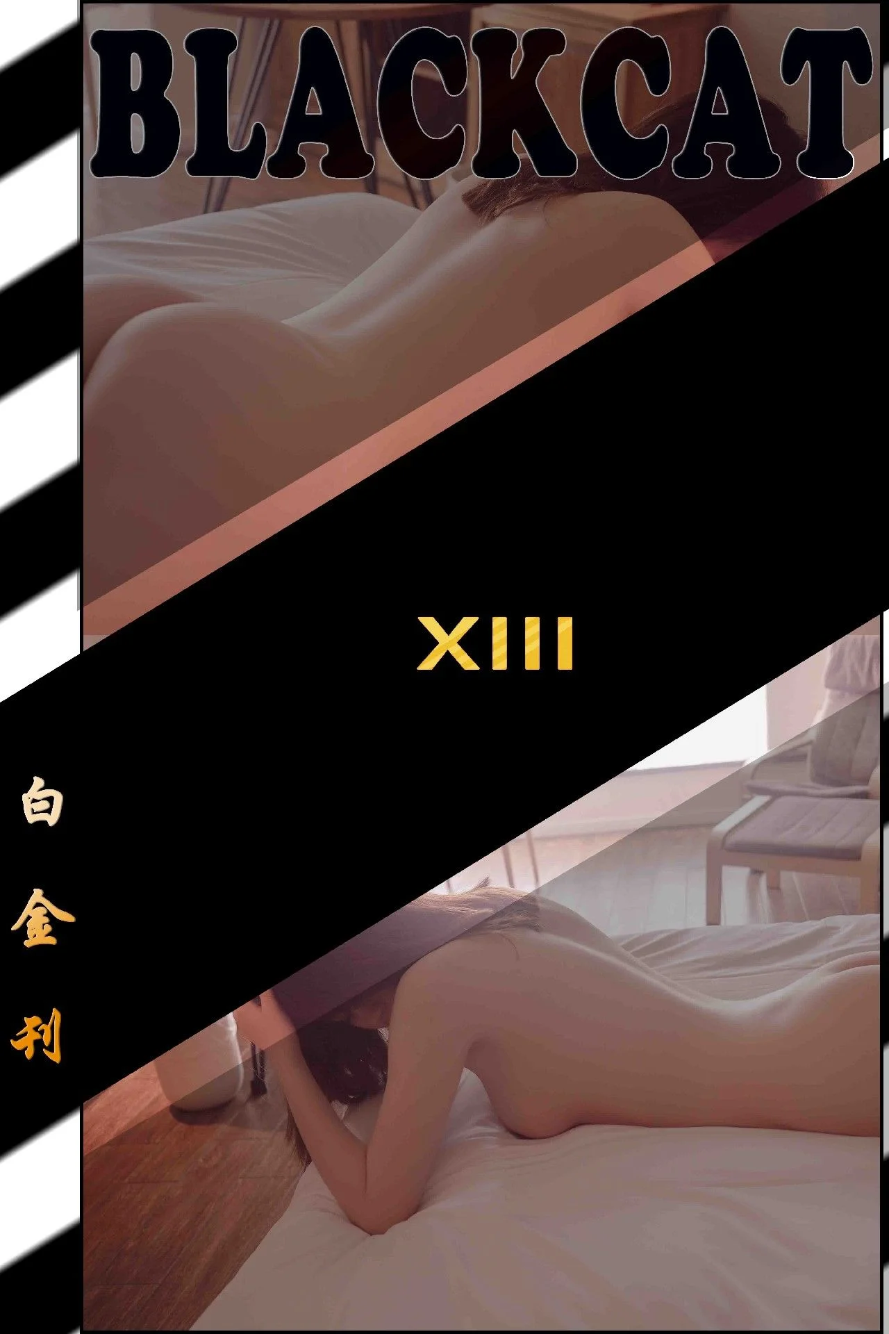 Platinum 013 issue (Platinum 013)