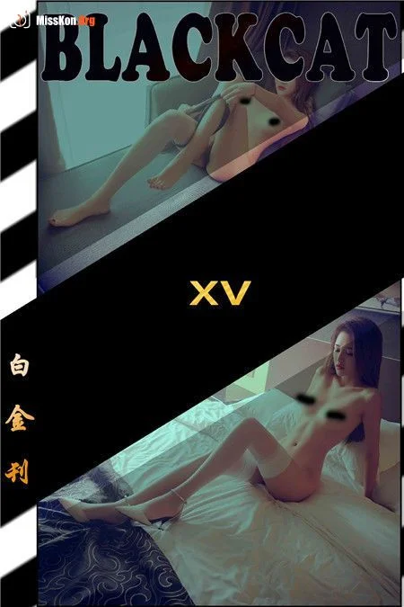 Platinum 015 issue (Platinum 015 issue) - Photo 9