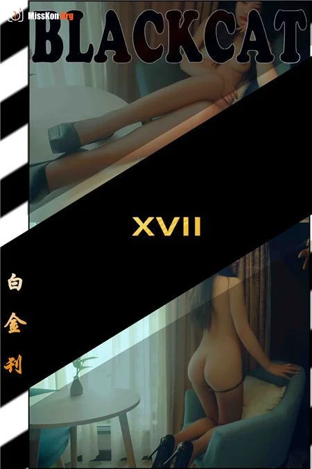 Platinum Issue 017 (Platinum 017) - Photo 17