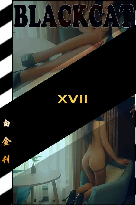 Platinum Issue 017 (Platinum 017)