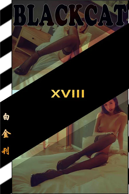 Platinum Issue 018 (Platinum 018)