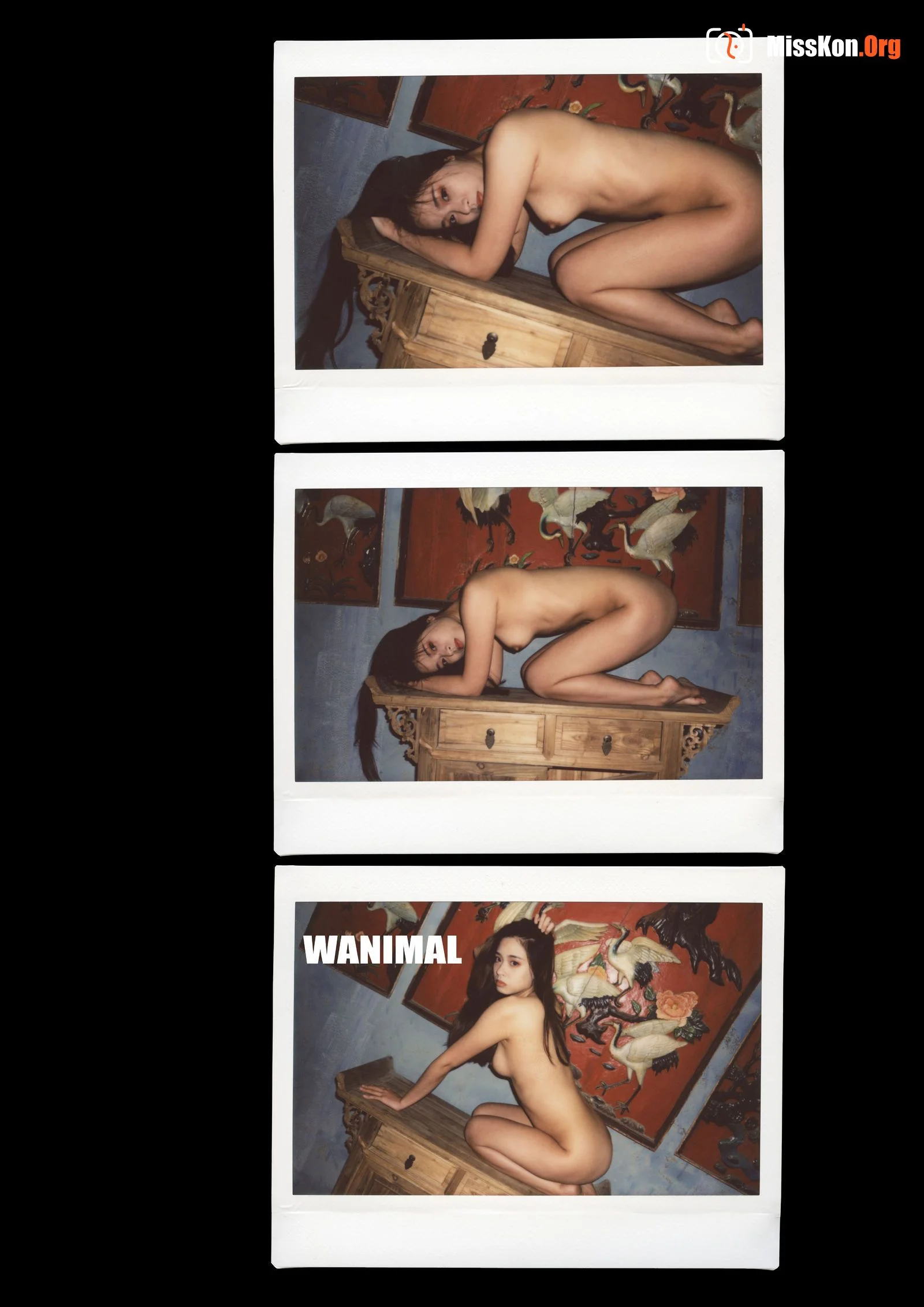 Polaroid - Photo 100