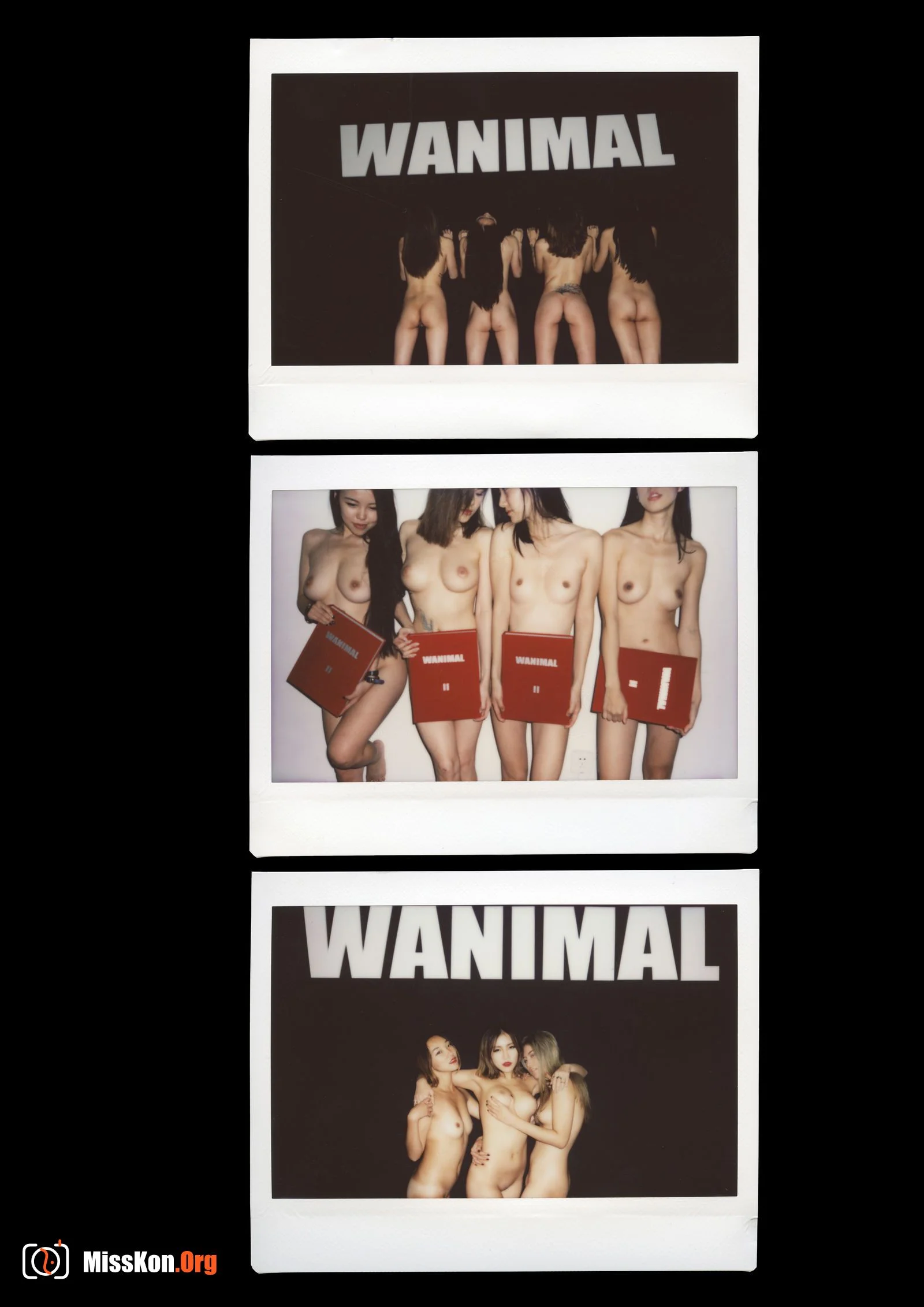 Polaroid - Photo 118