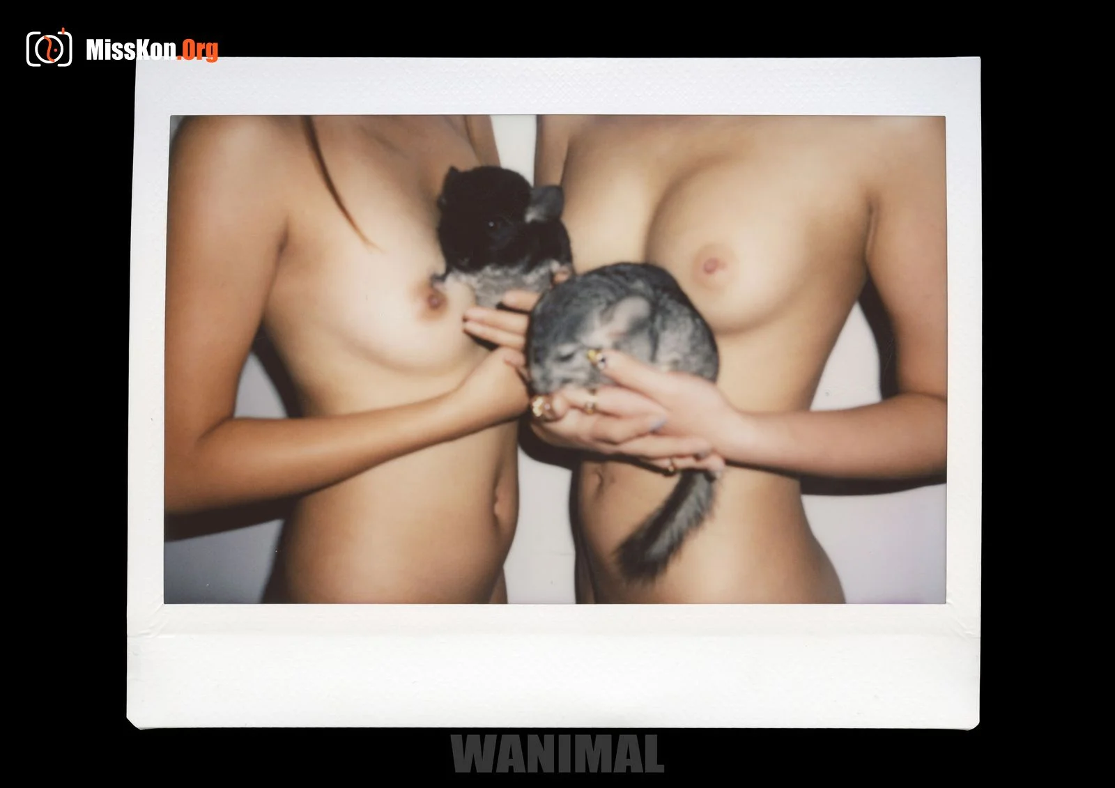 Polaroid - Photo 137