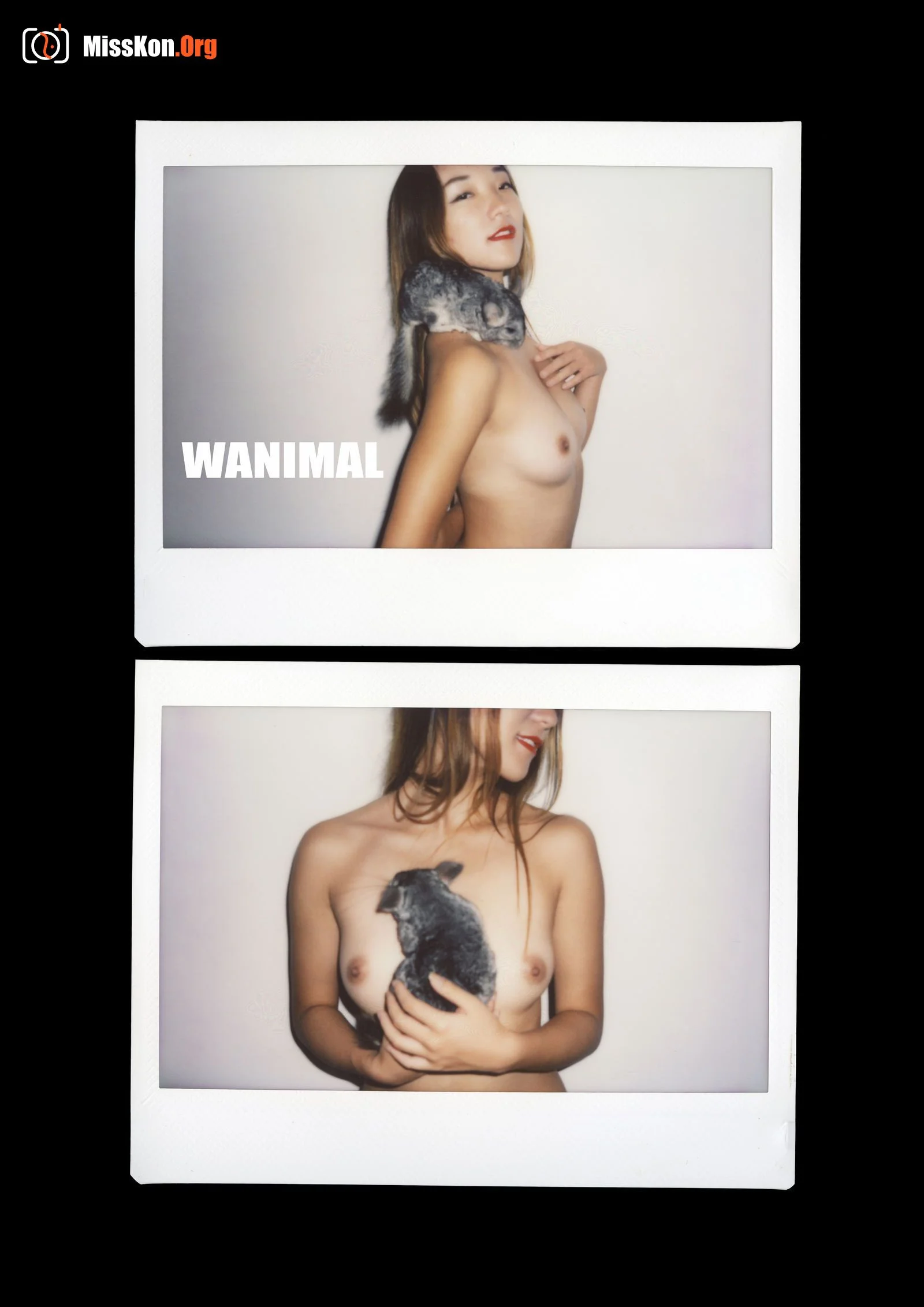 Polaroid - Photo 148