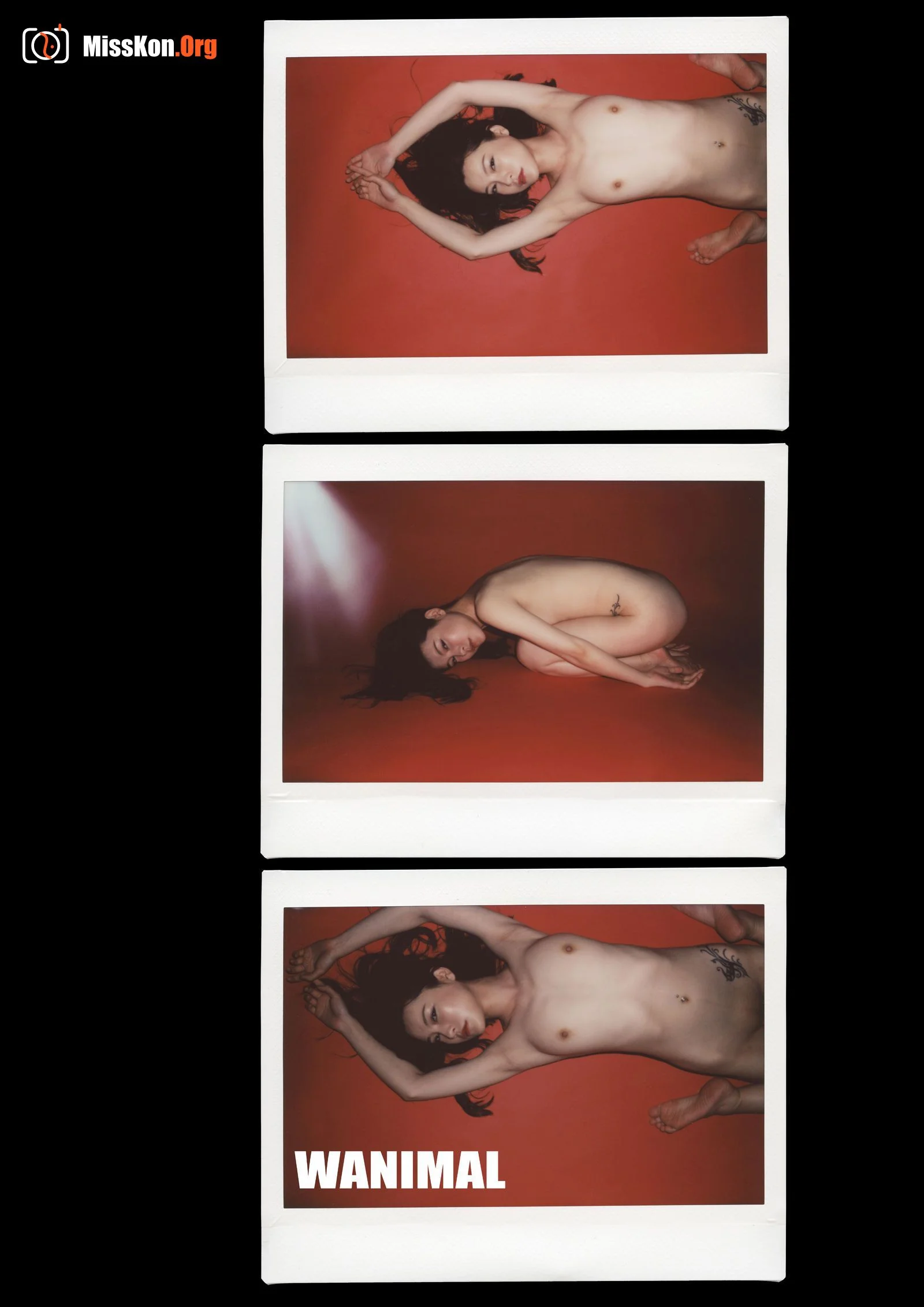 Polaroid - Photo 152