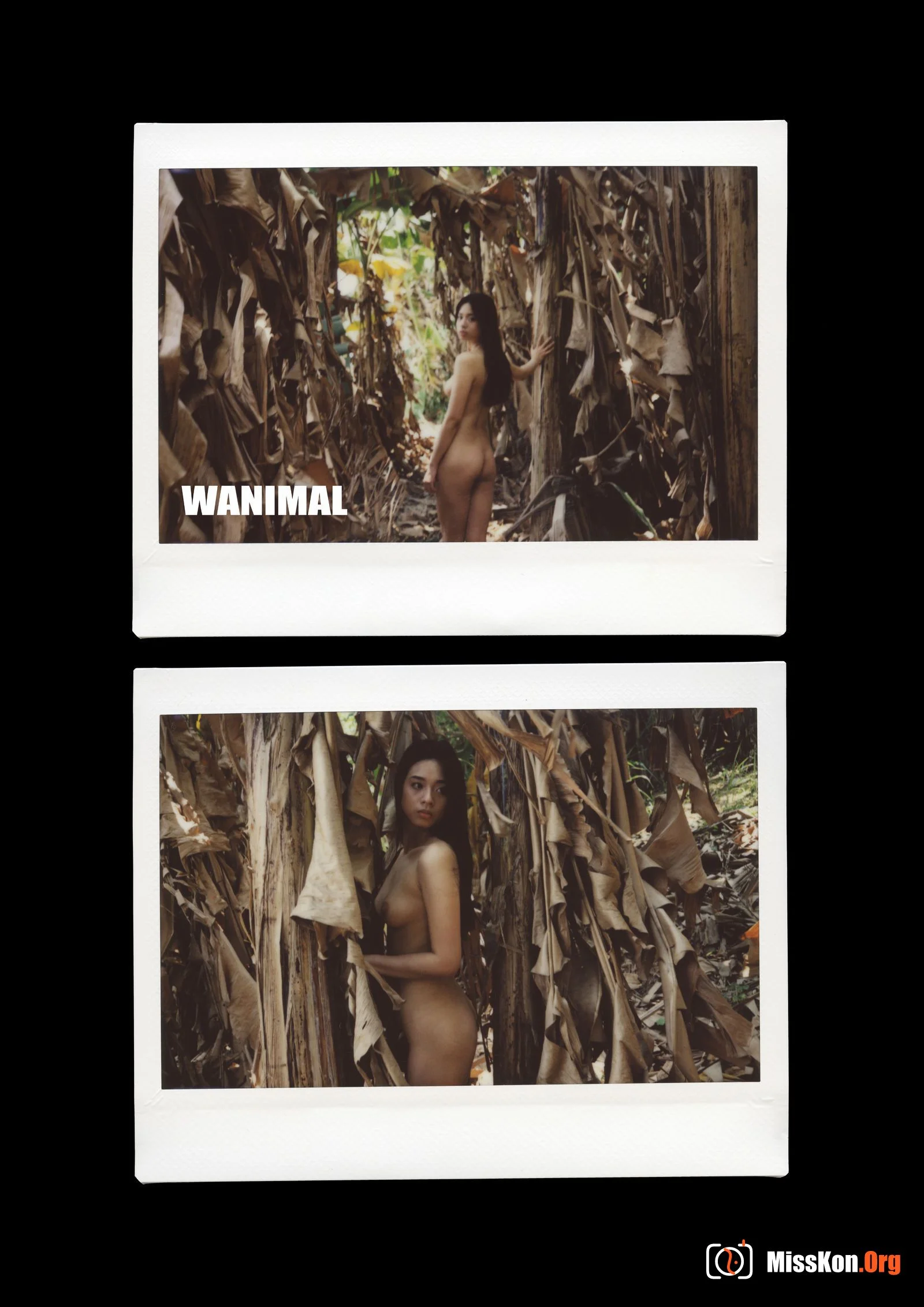 Polaroid - Photo 154