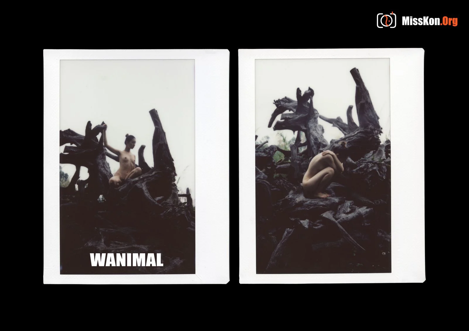 Polaroid - Photo 163