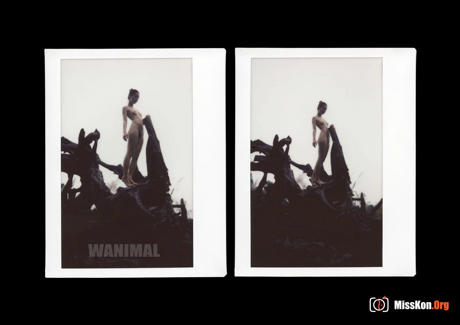 Polaroid - Photo 164