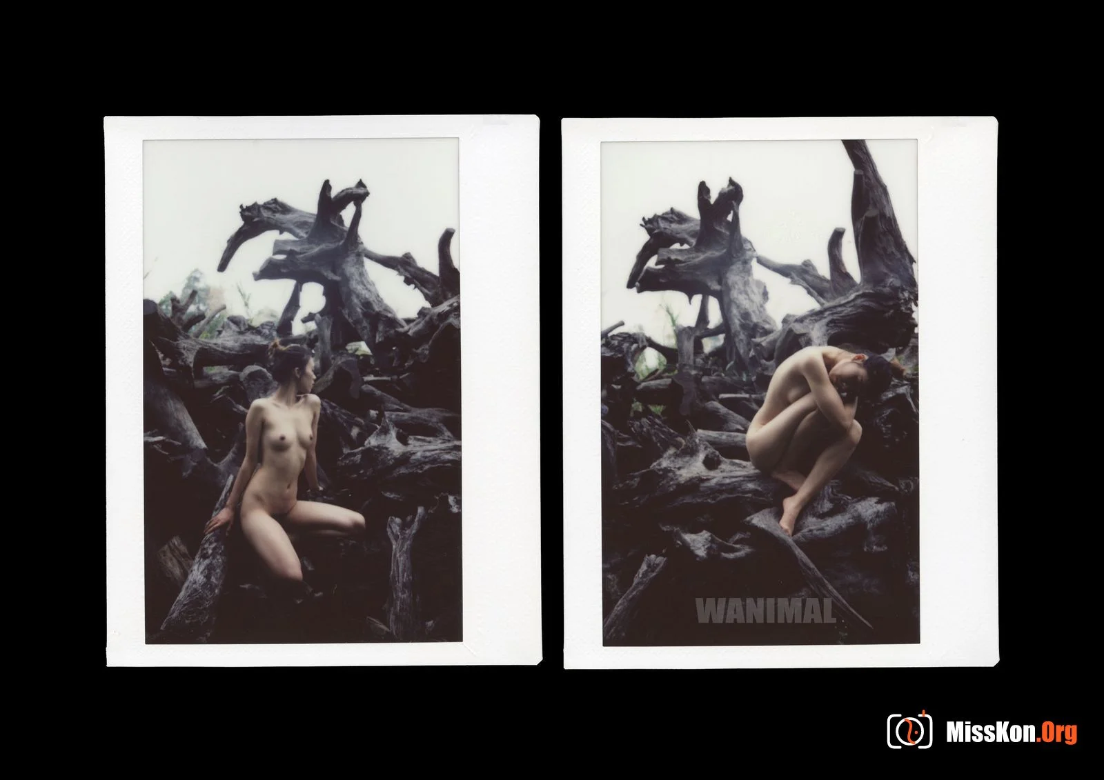 Polaroid - Photo 165