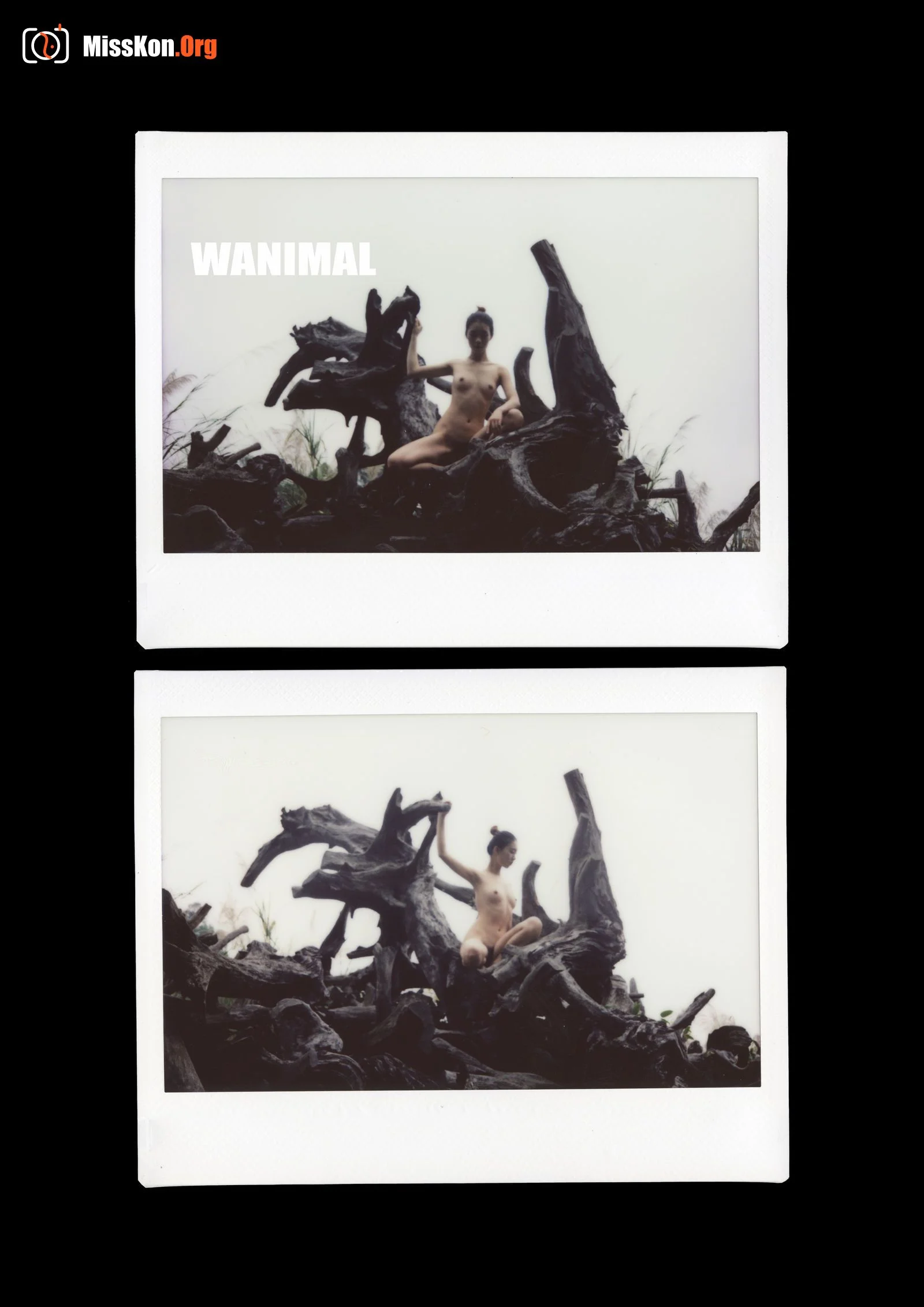 Polaroid - Photo 166