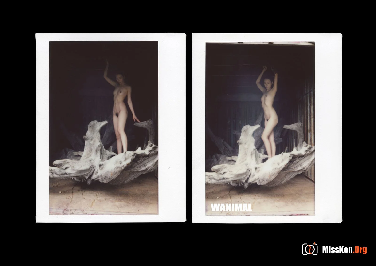 Polaroid - Photo 167