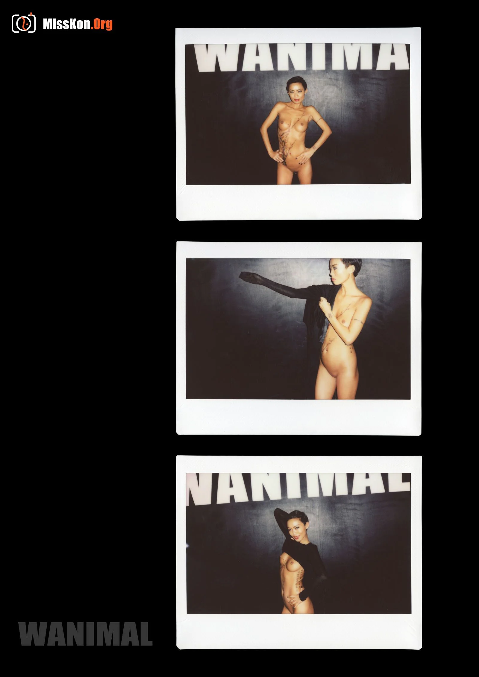 Polaroid - Photo 182