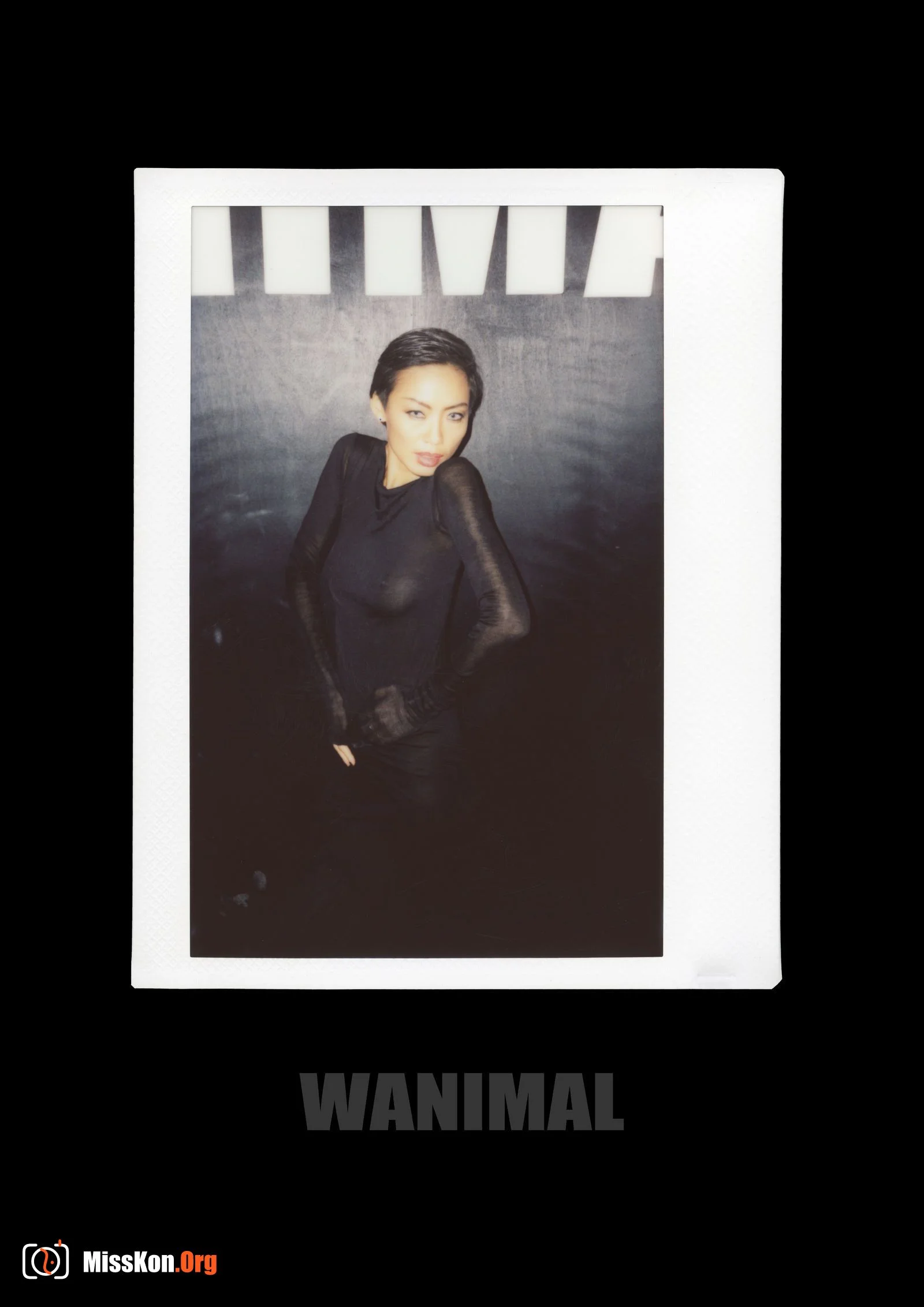 Polaroid - Photo 198