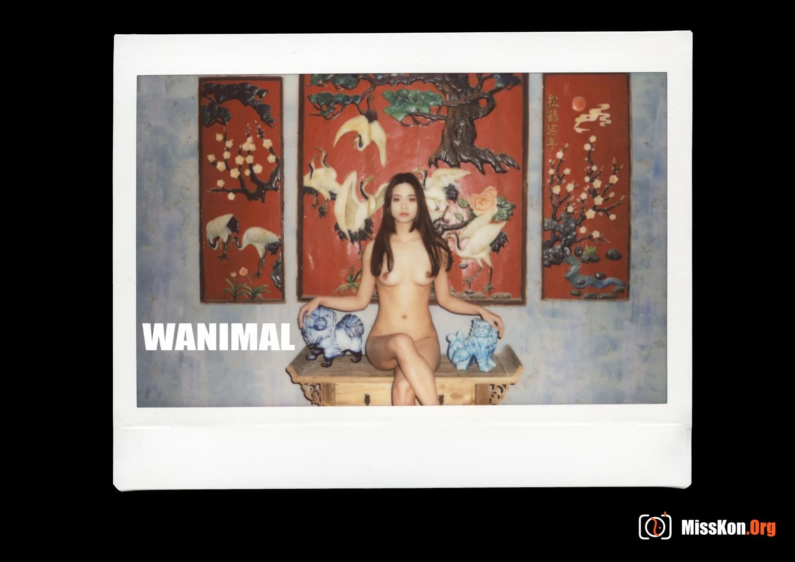 Polaroid - Photo 92
