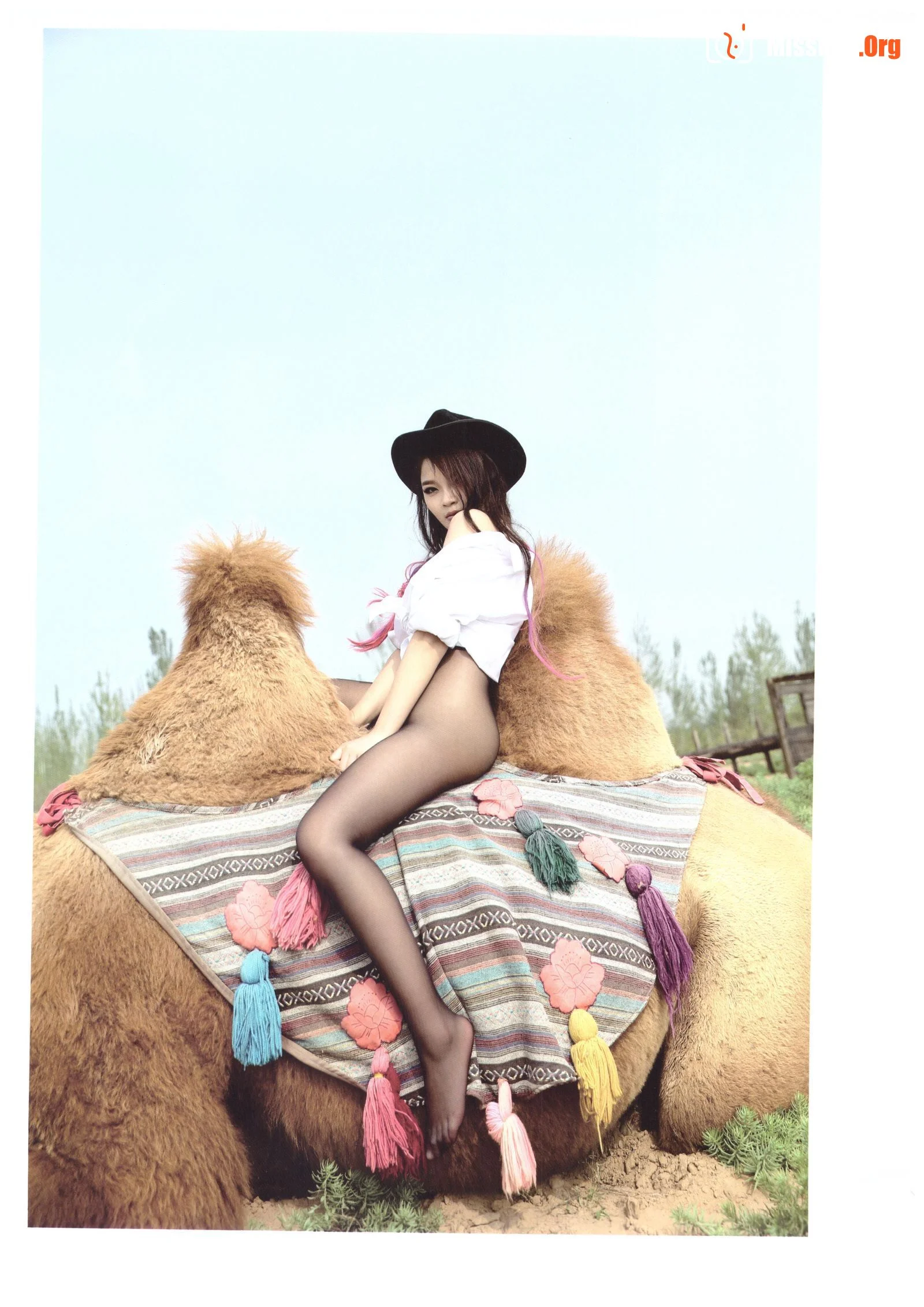 Portfolio album - Photo 13