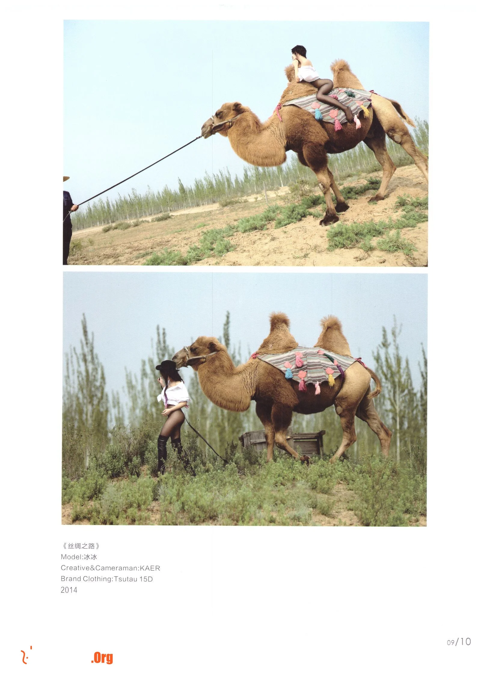 Portfolio album - Photo 14