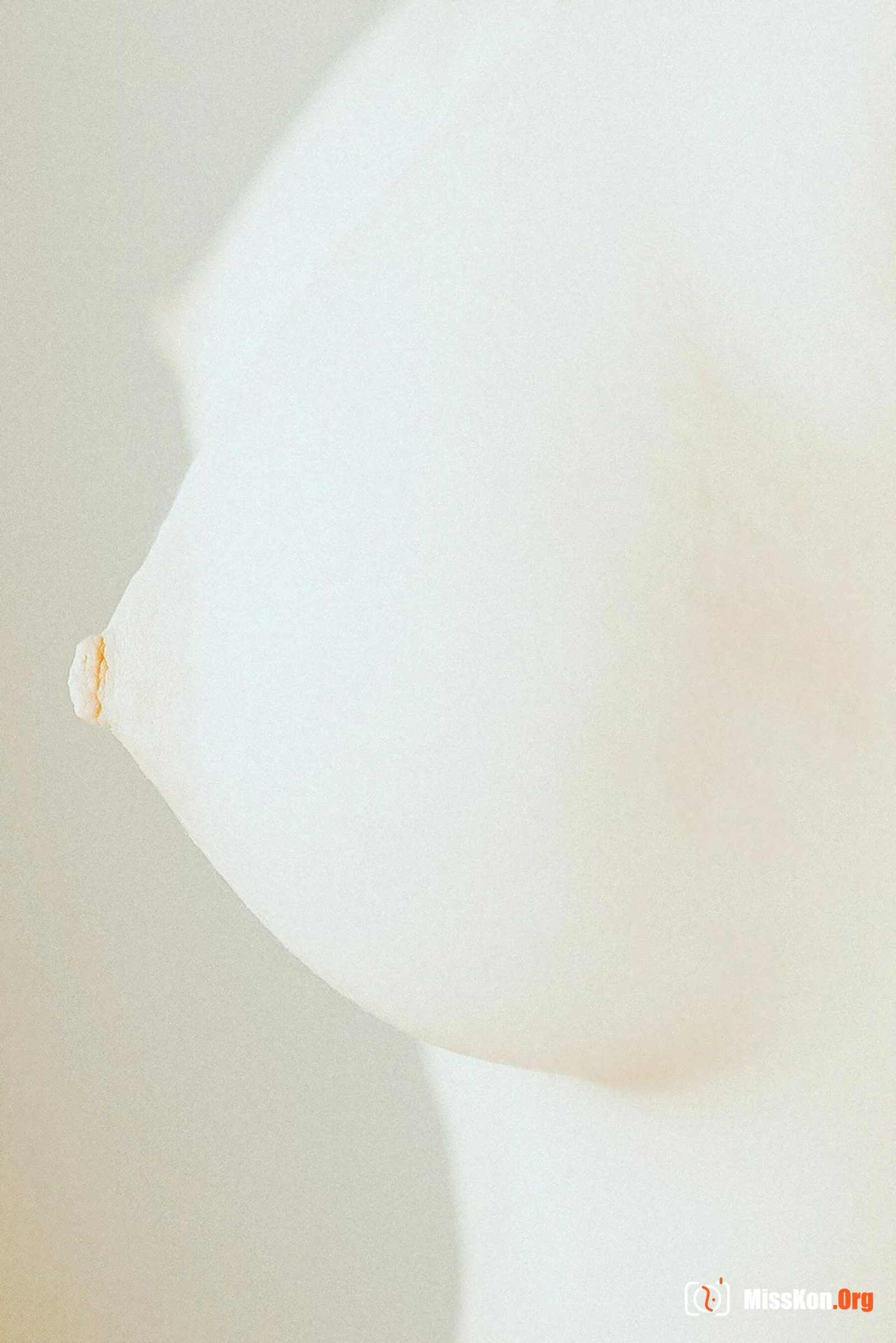 Portfolio of photographer Clean - Photo 11