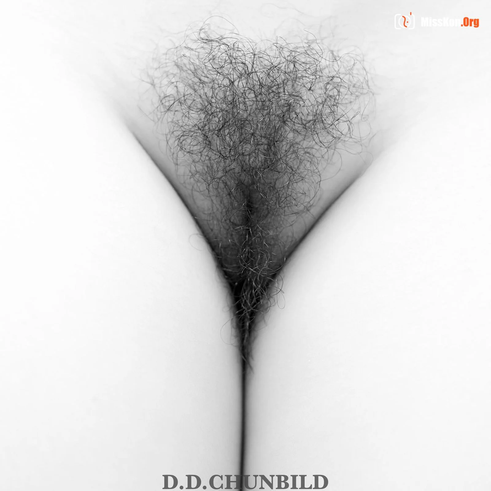Portfolio of photographer D.D.CHUNBILD - Photo 18