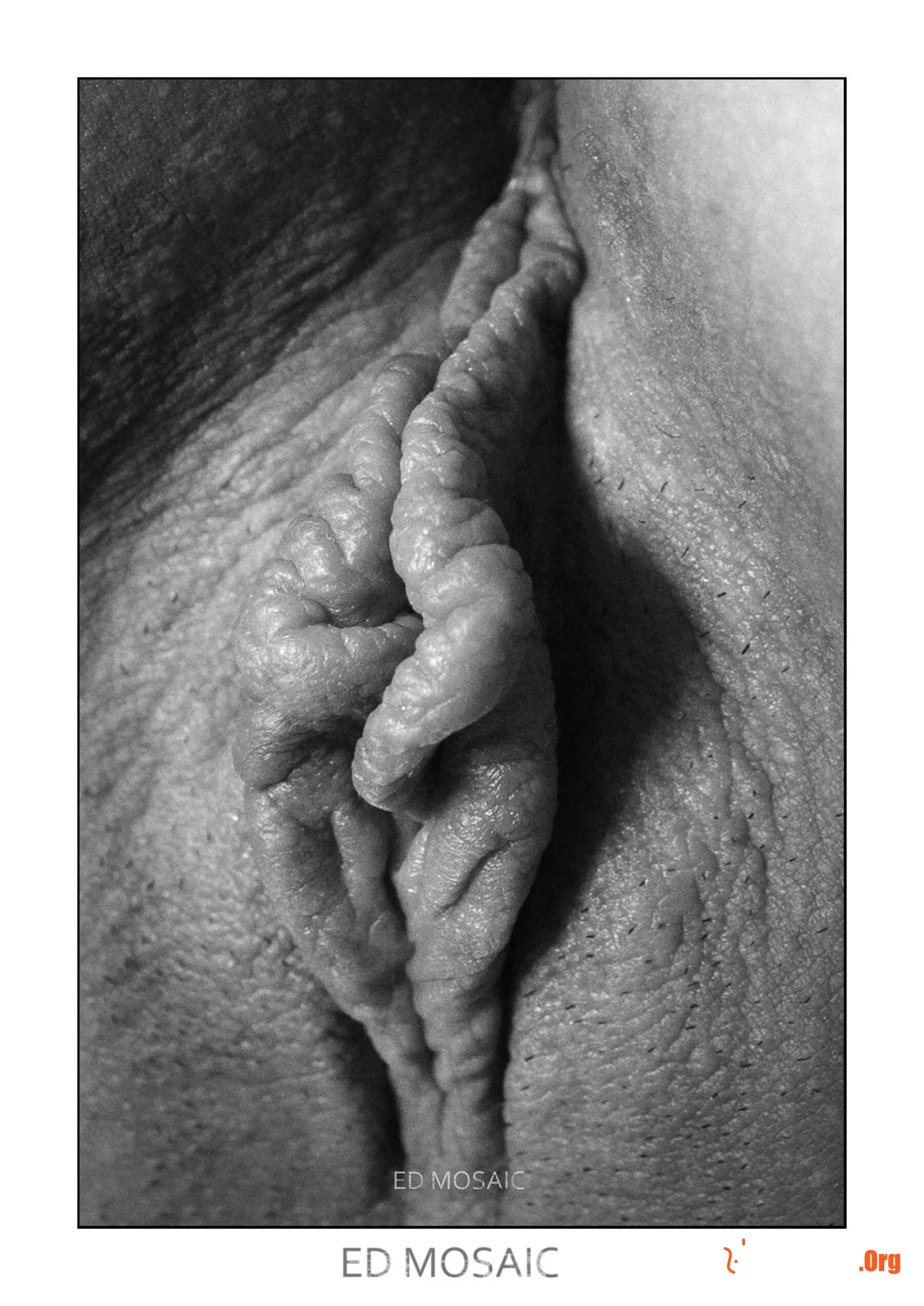 Portfolio of photographer Ed Mosaic - Photo 378