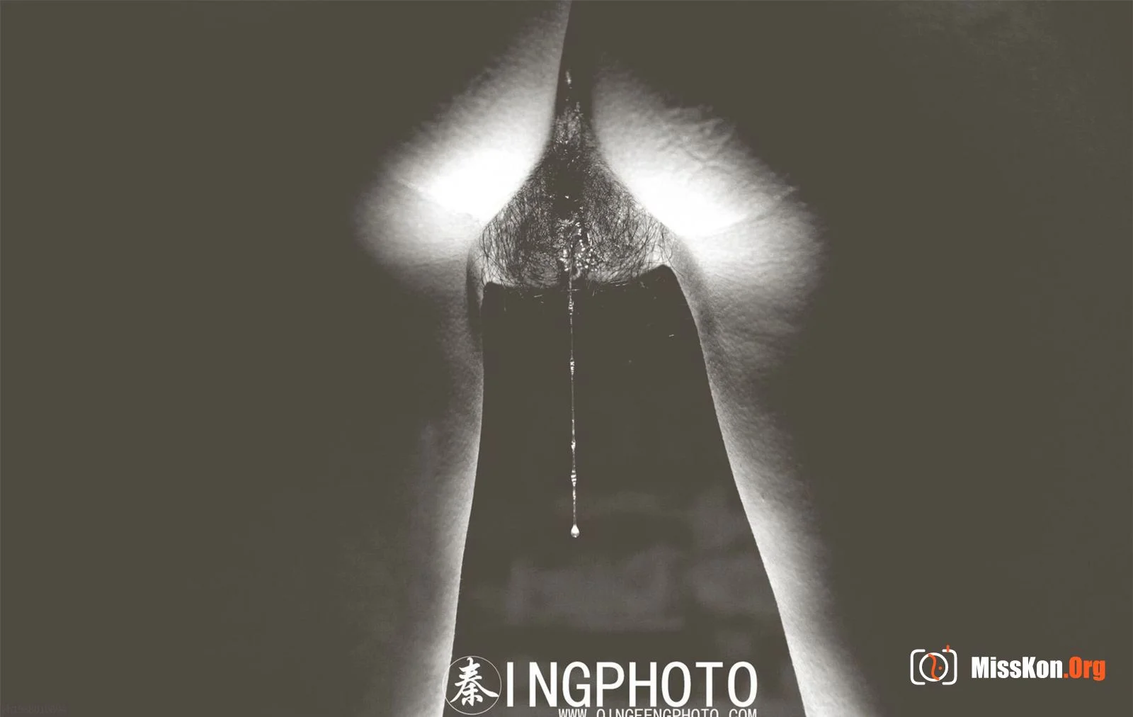 Portfolio of photographer Qin (INGPHOTO) (Qin (INGPHOTO)) - Photo 13