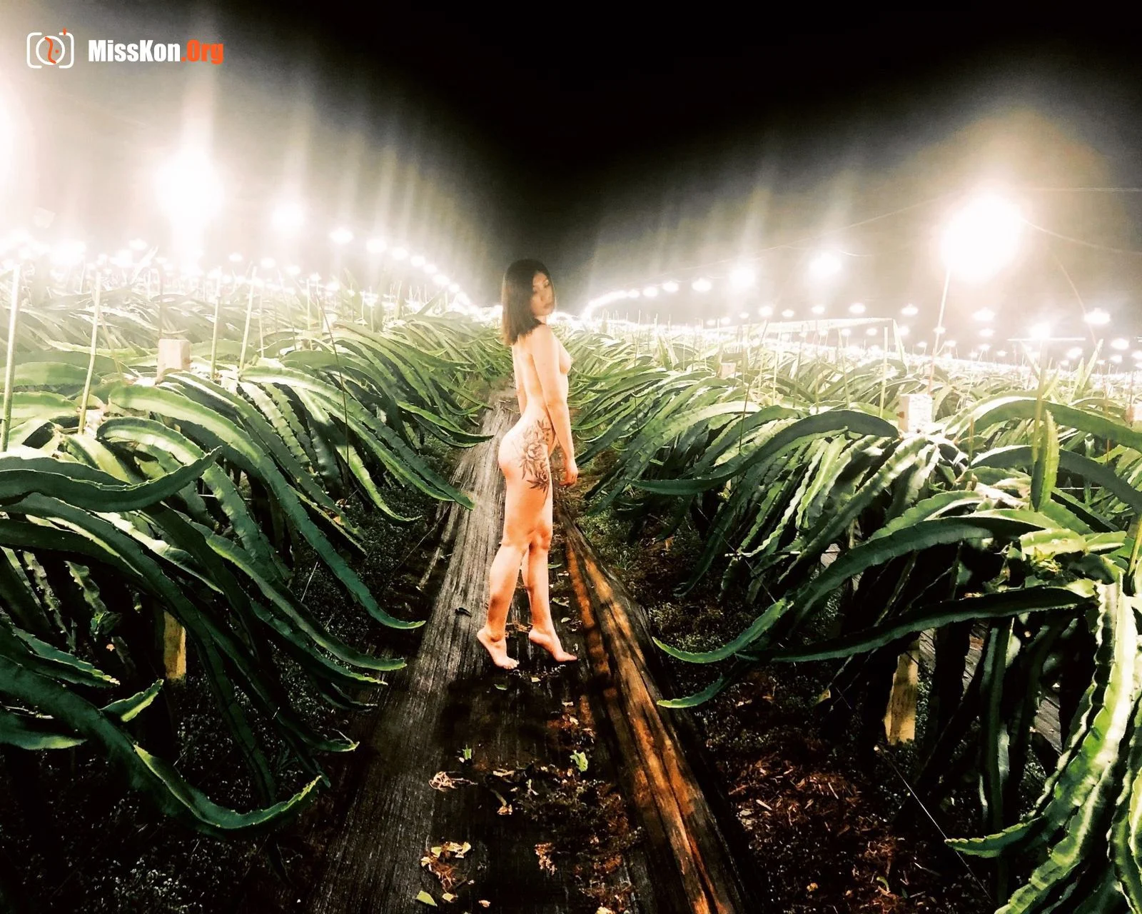 Produced by Wang Dong: Featured in August 2019 - Photo 20