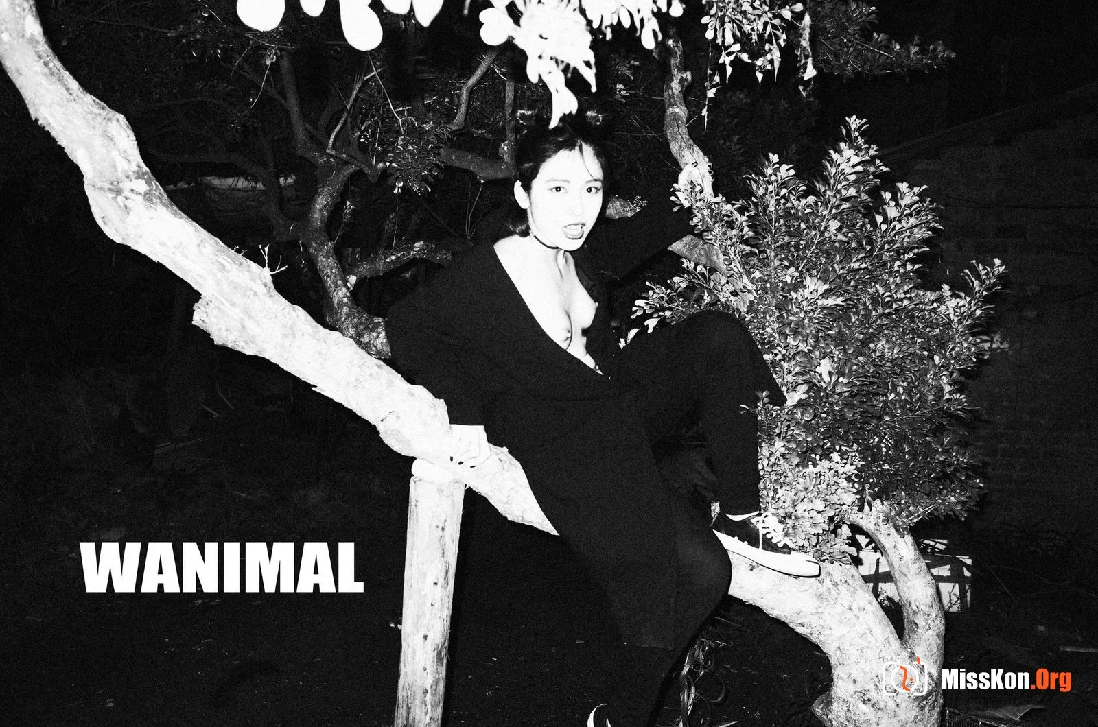 Produced by Wang Dong: VIP Package Issue 23 - Photo 2