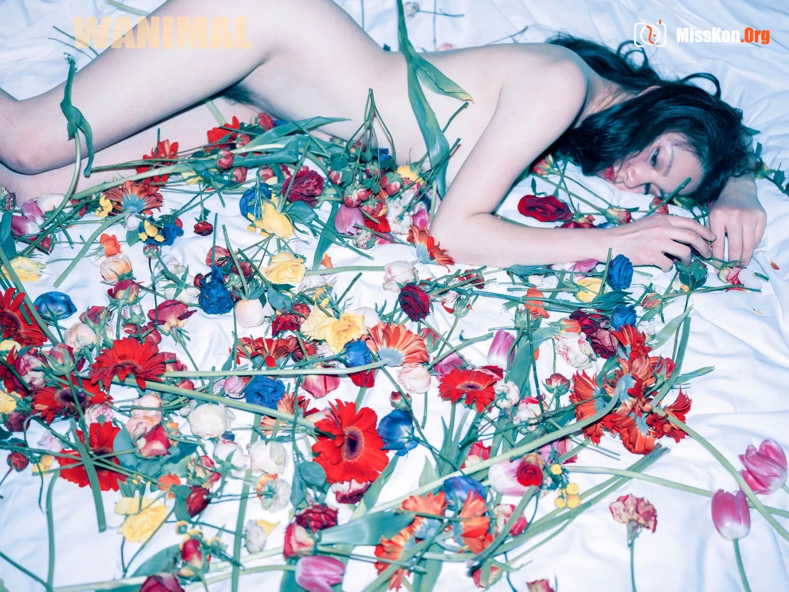 王动出品：VIP套图 第24期 - 照片 4