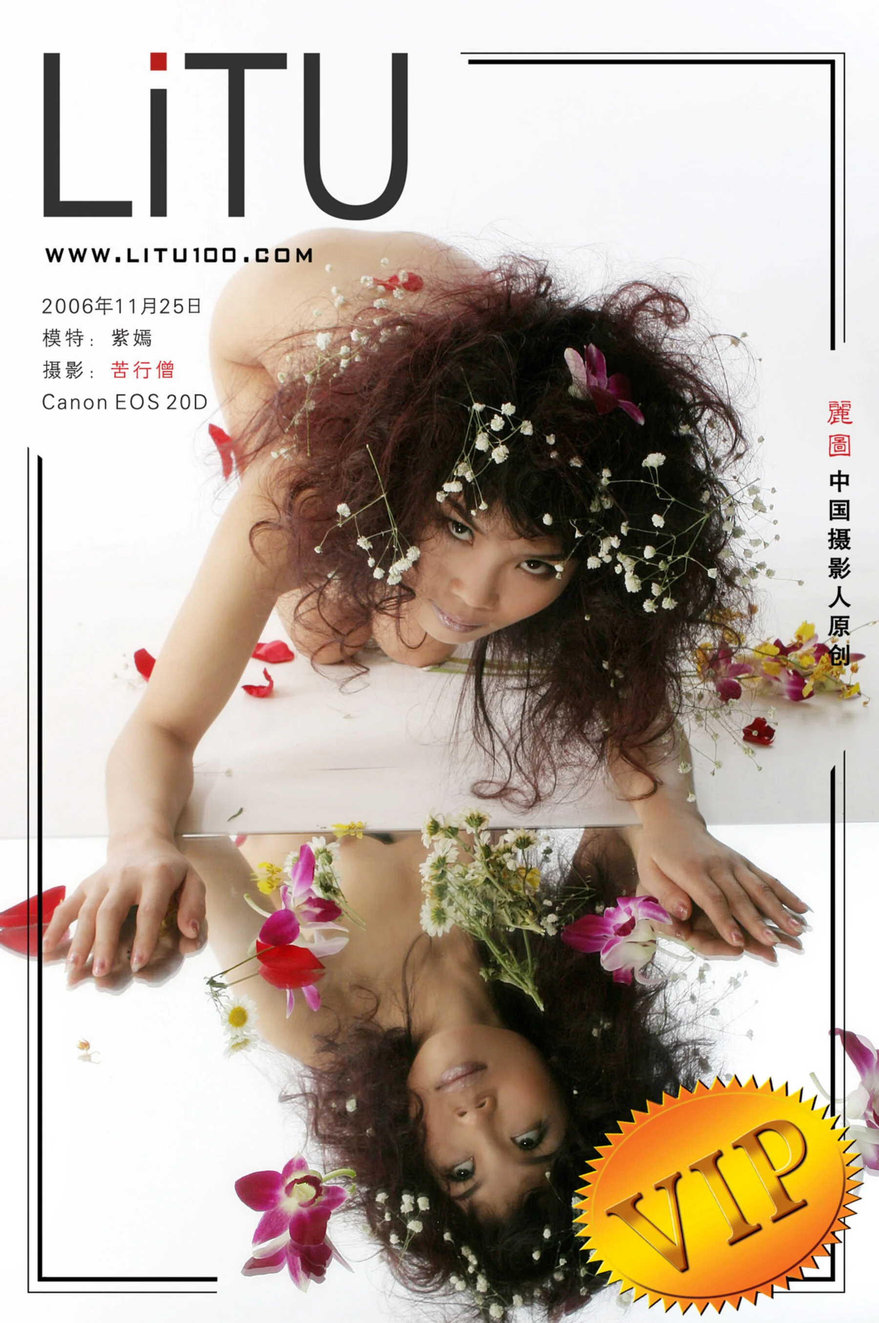Purple Yan (2006-11-25)