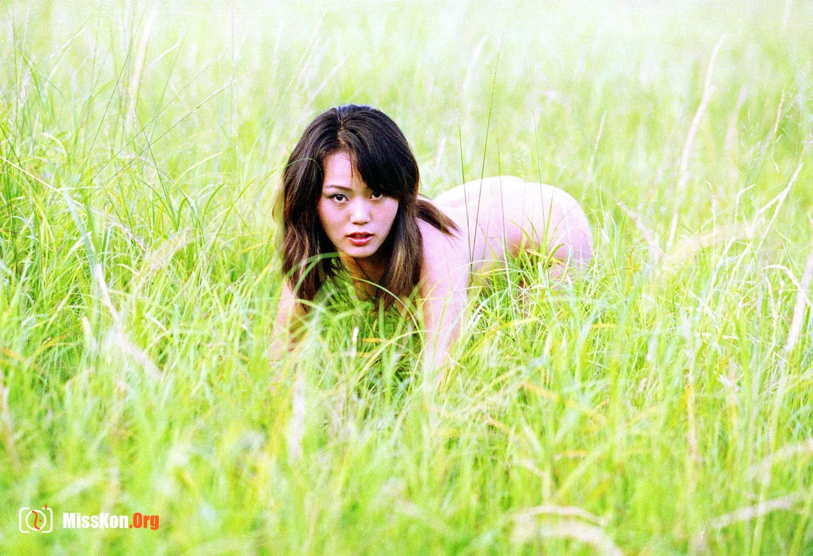 Qiao Wenjing: Green (2007-09-01) - Photo 13