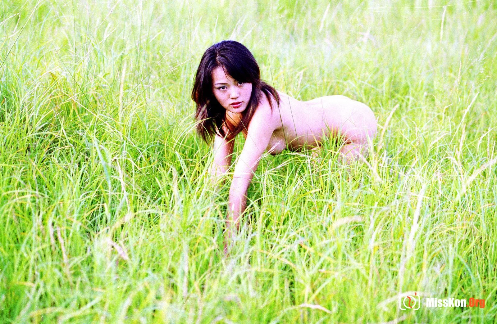 Qiao Wenjing: Green (2007-09-01) - Photo 14