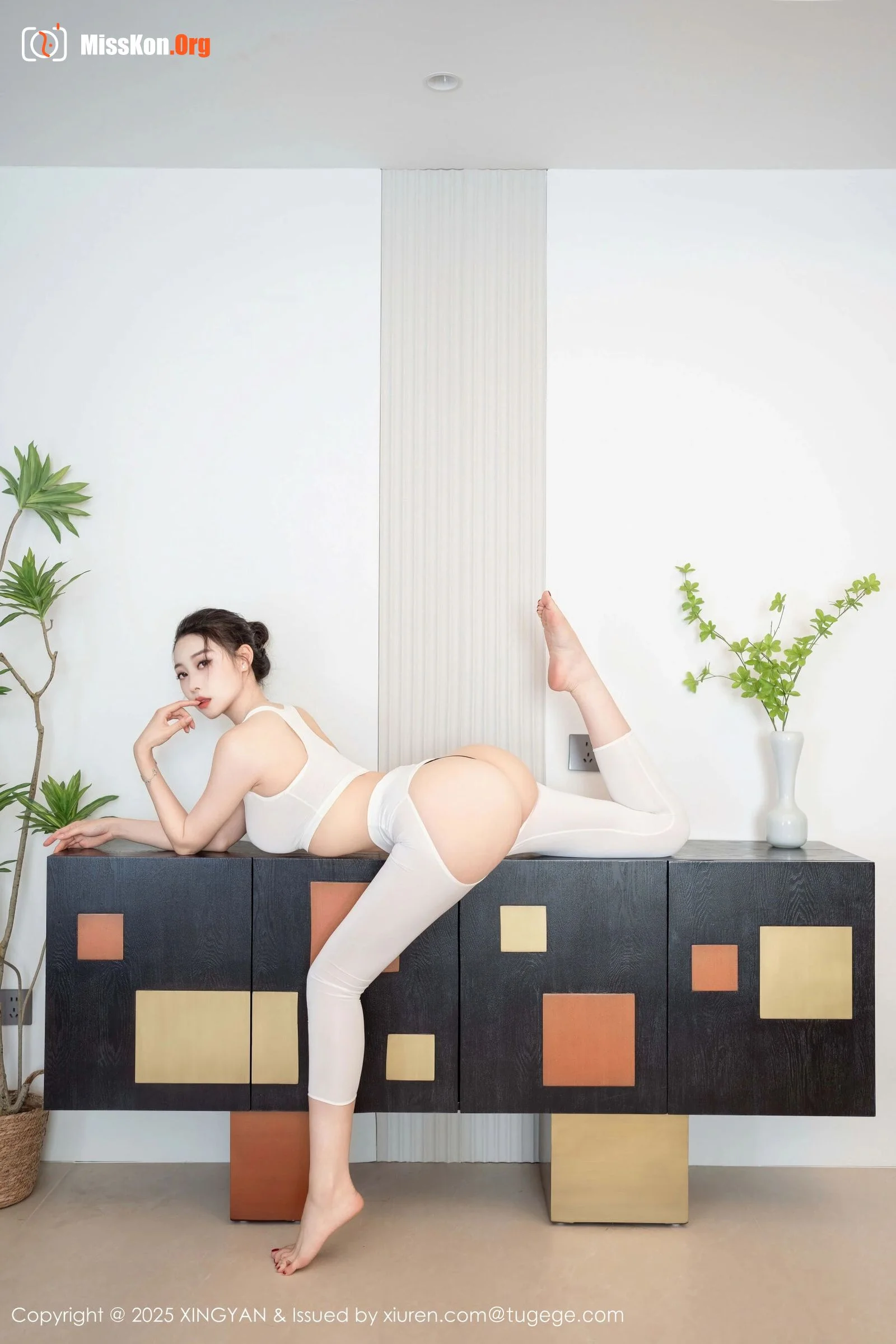 Qing Miao - Photo 10