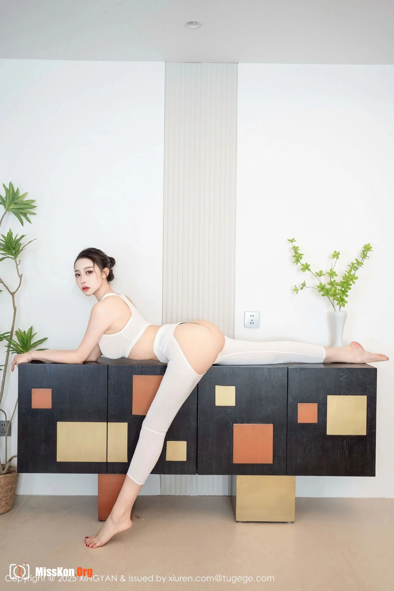 Qing Miao - Photo 9