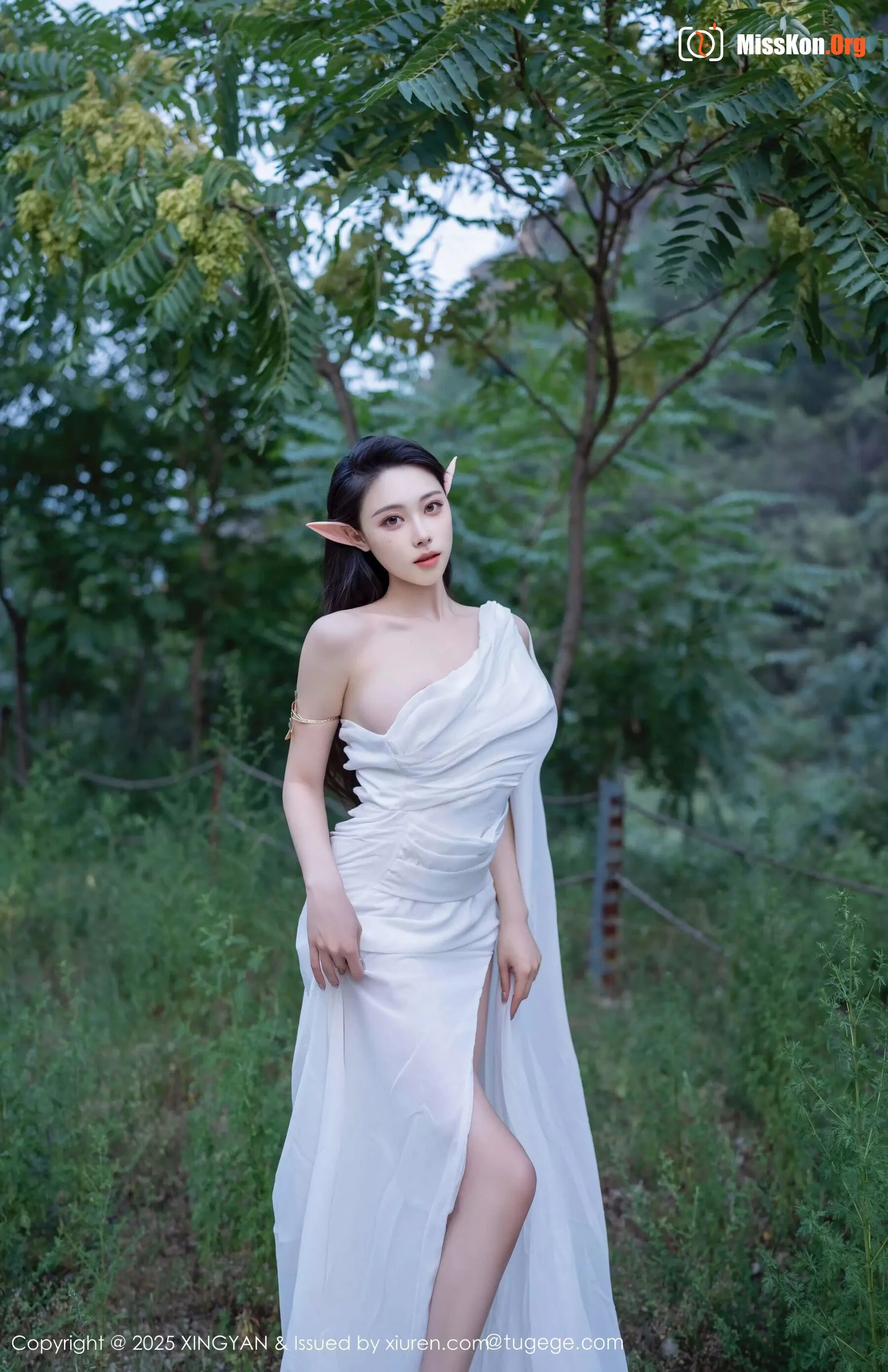 Qing Miao - Photo 2