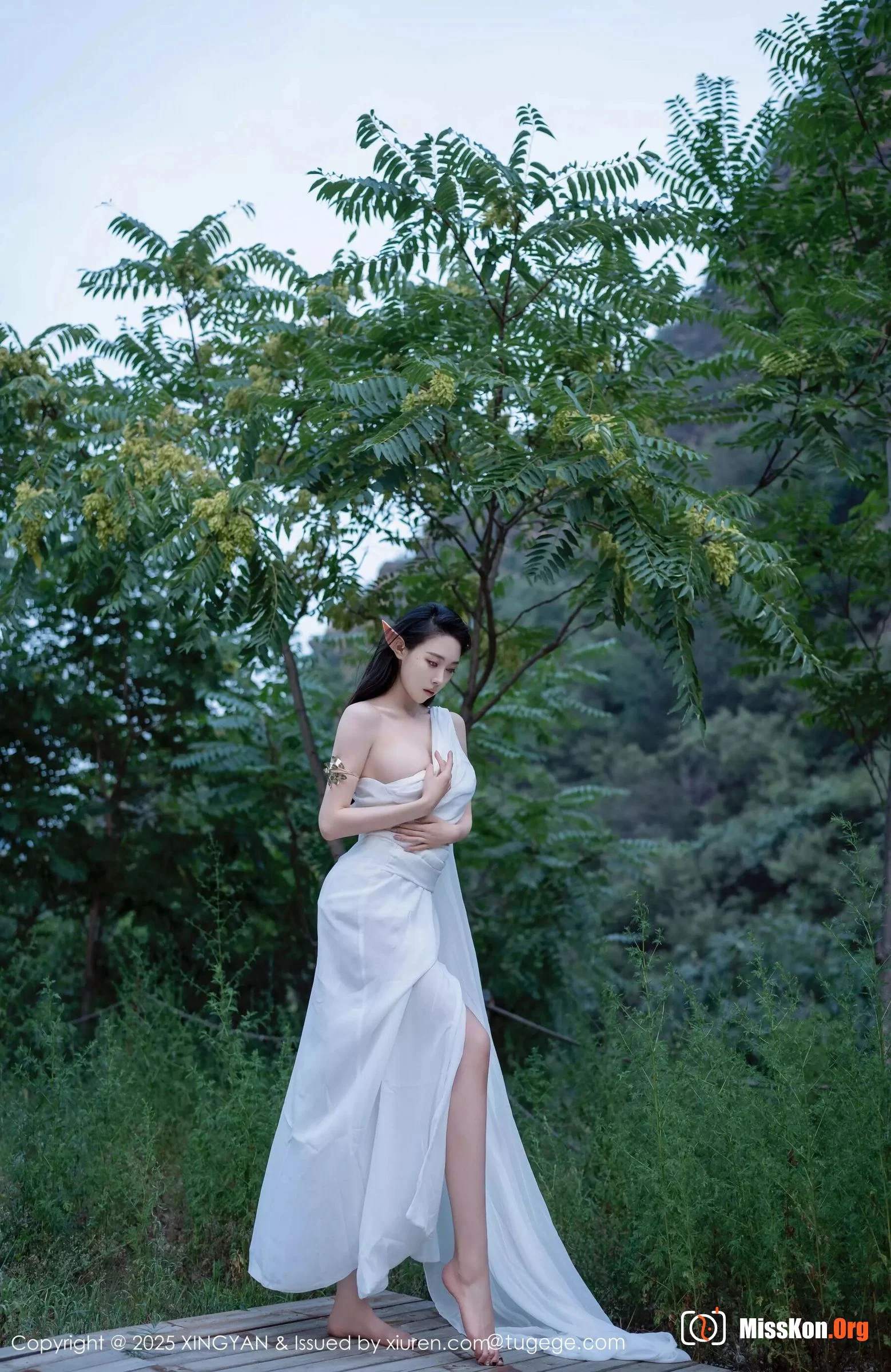 Qing Miao - Photo 4