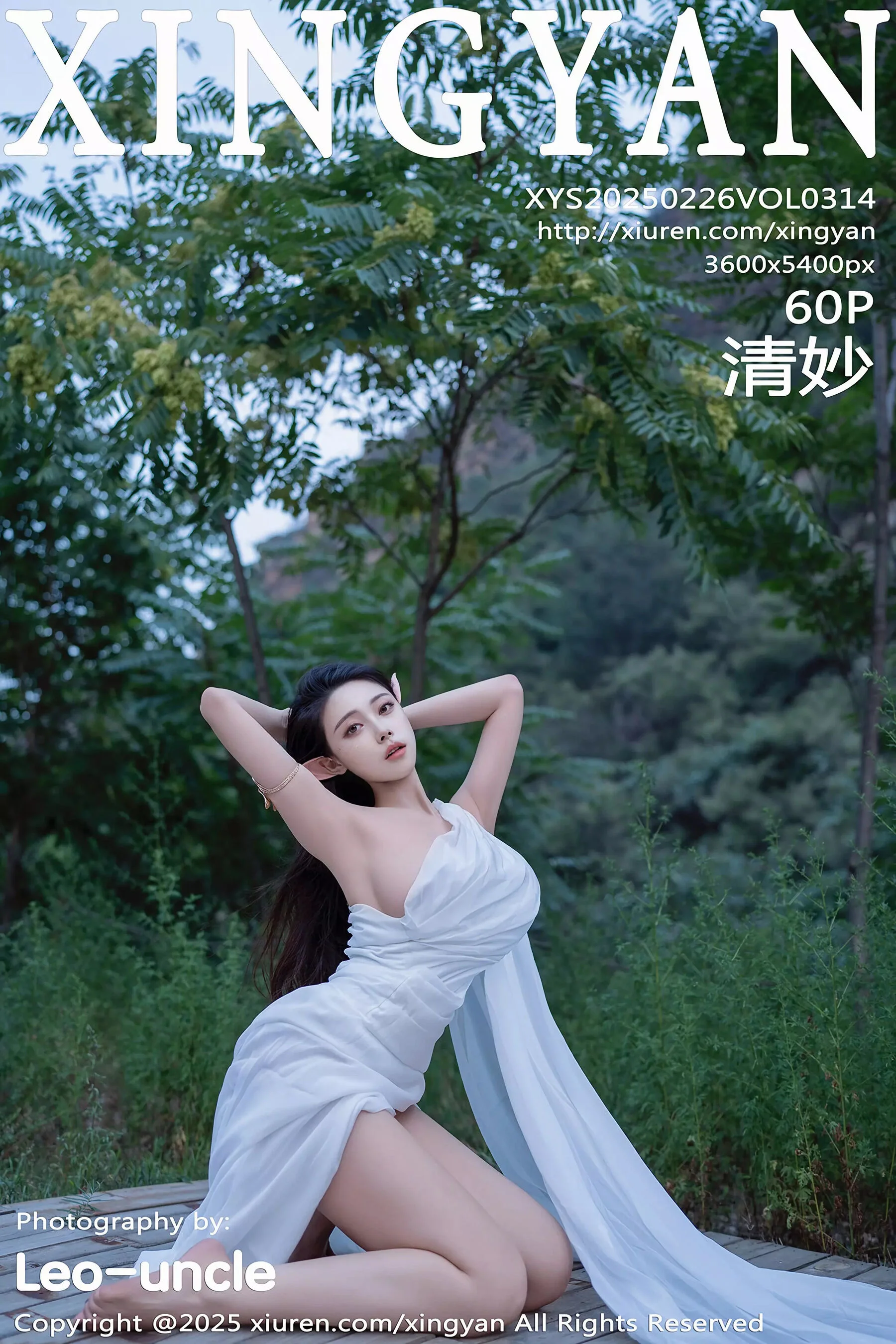 Qing Miao