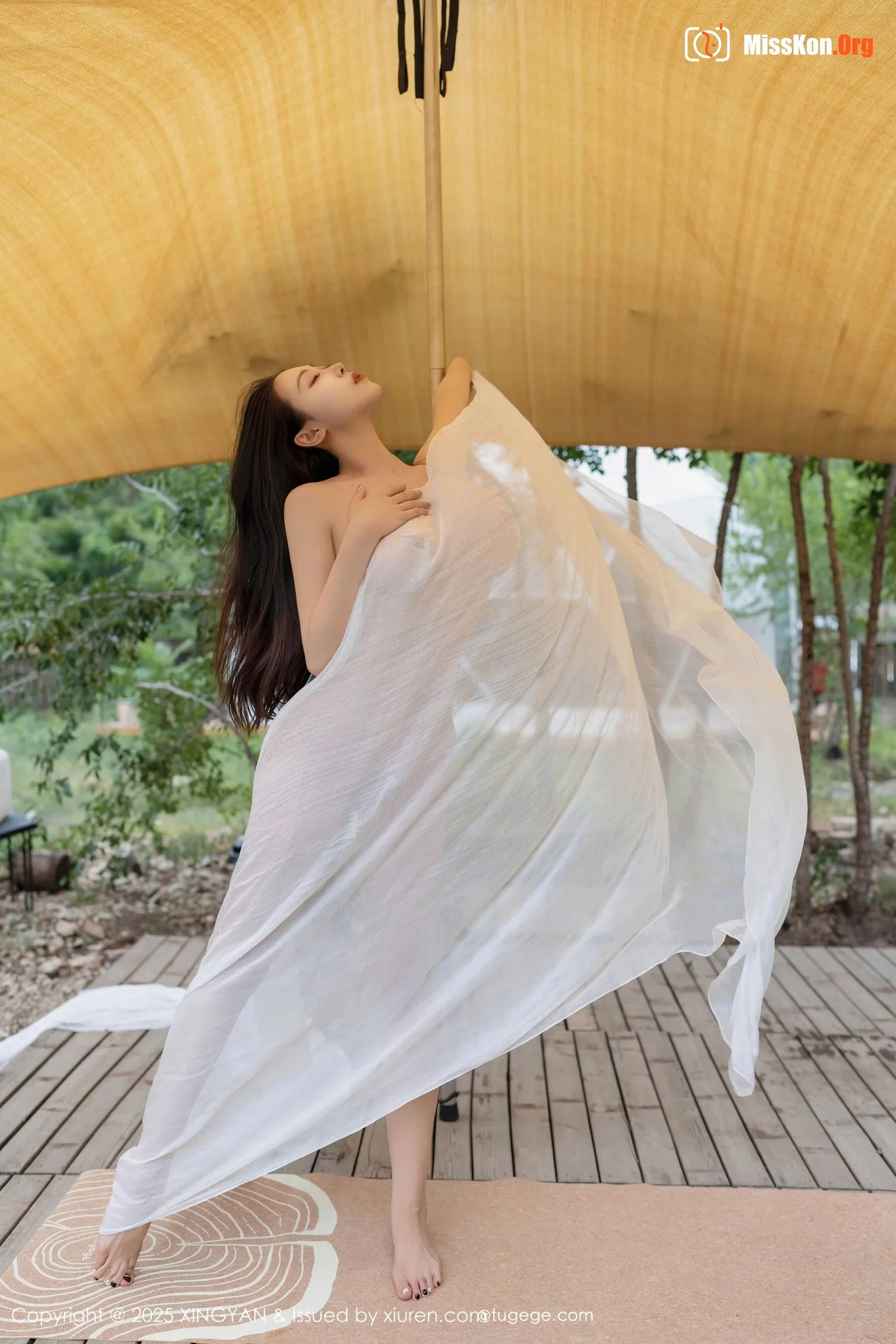 Qing Miao - Photo 12