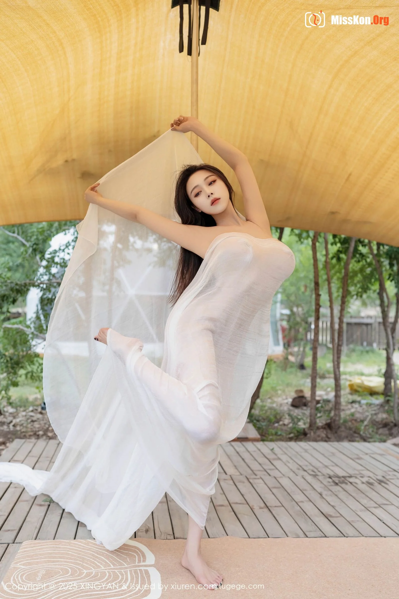 Qing Miao - Photo 13