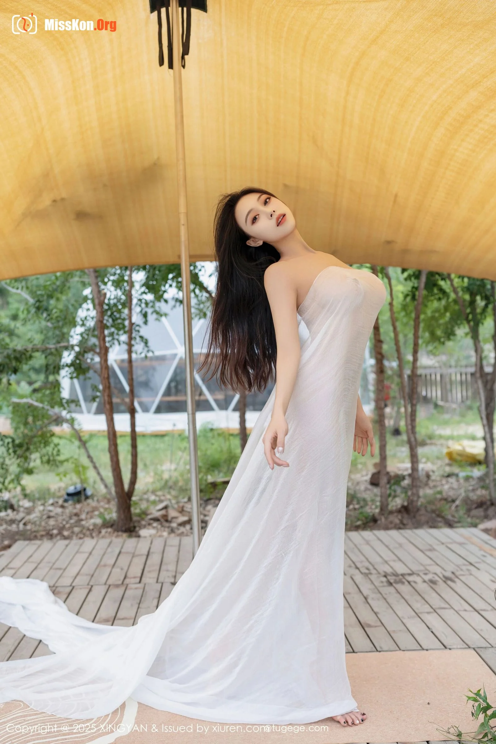 Qing Miao - Photo 15