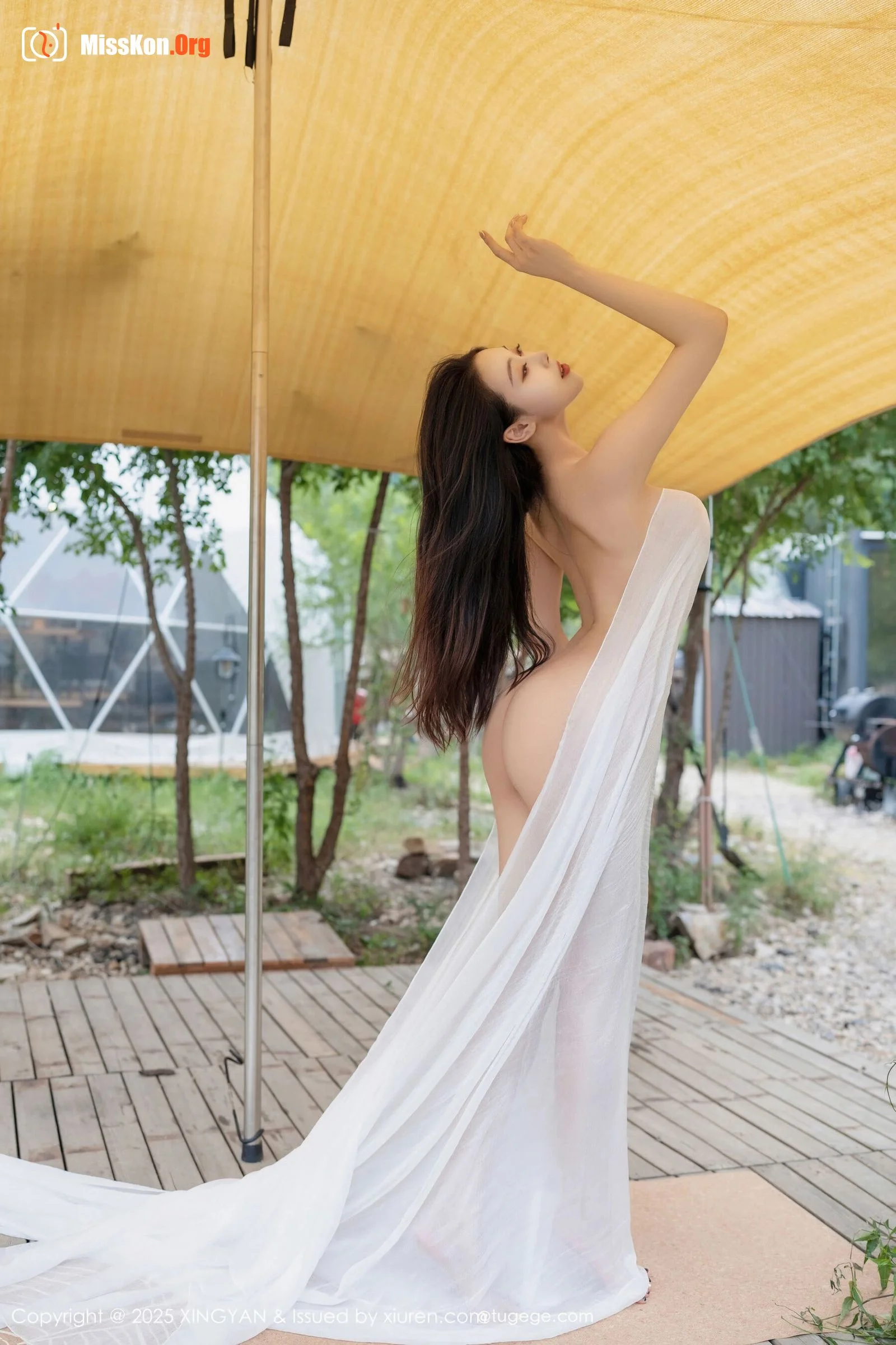 Qing Miao - Photo 16
