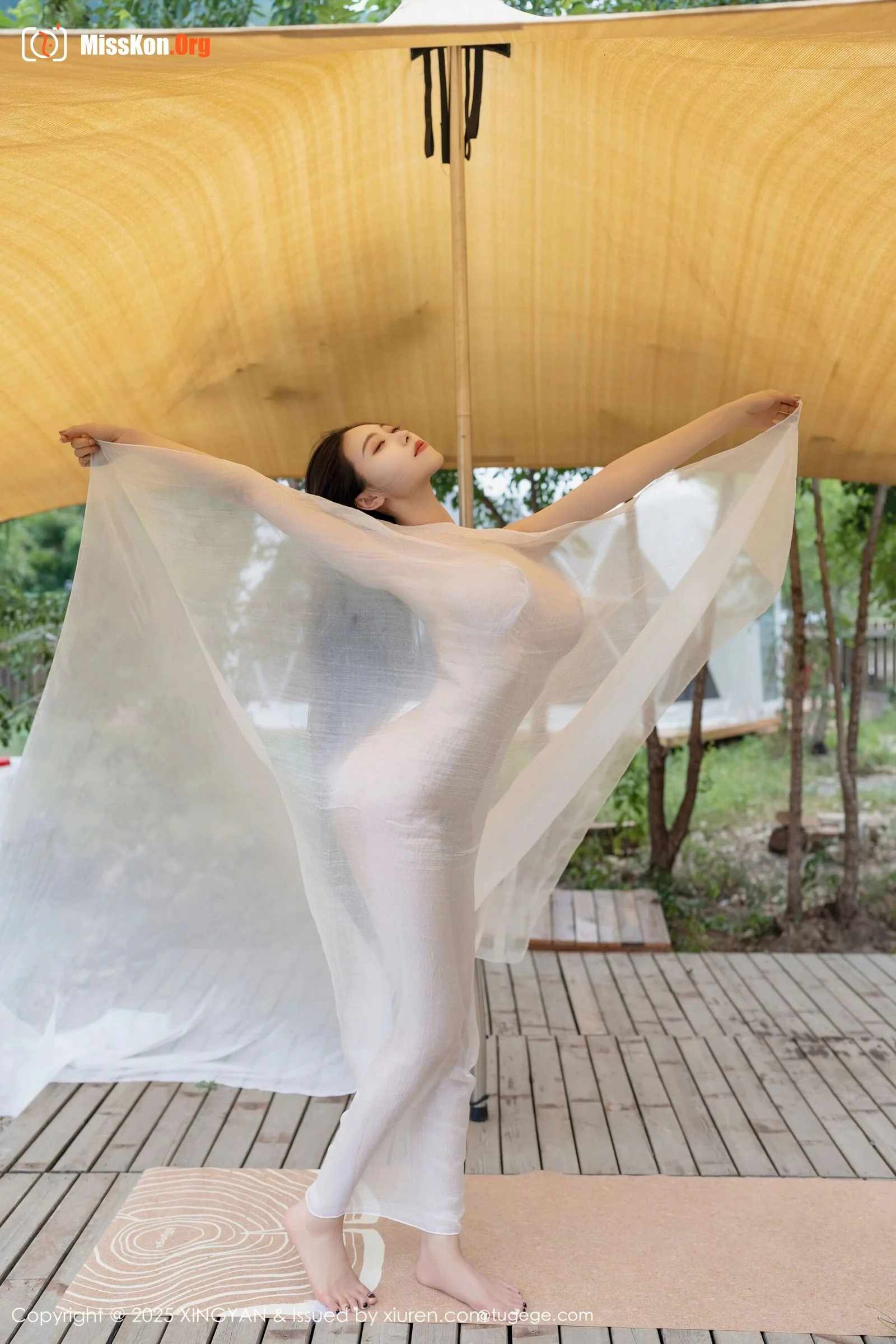 Qing Miao - Photo 4