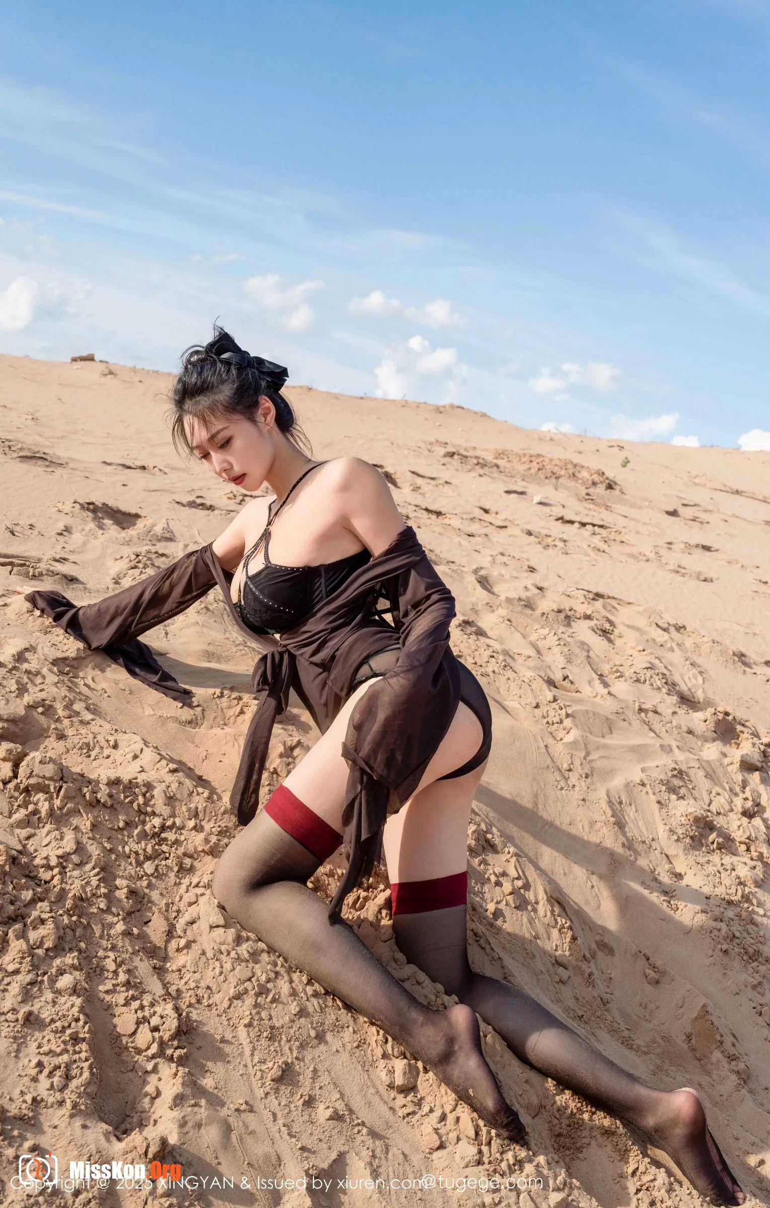 Qing Miao - Photo 17