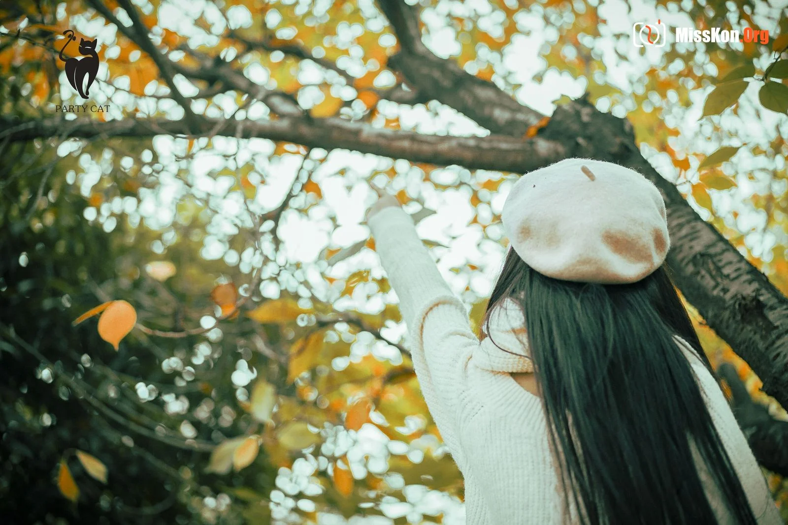 Ququ - Photo 24